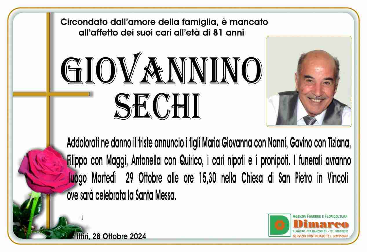 Giovannino Sechi