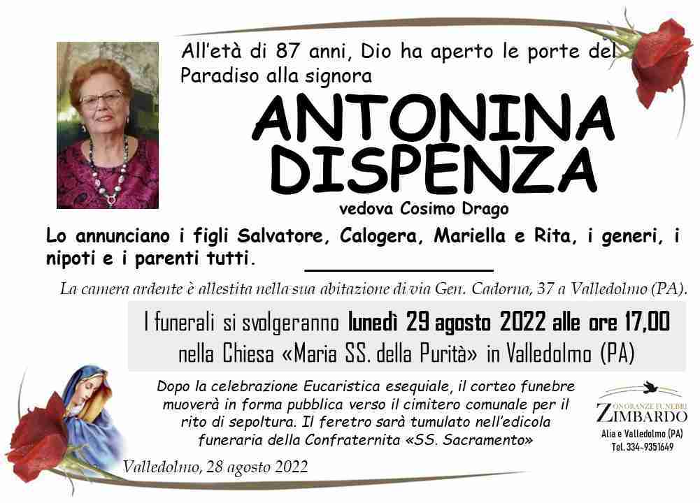 Antonina Dispenza