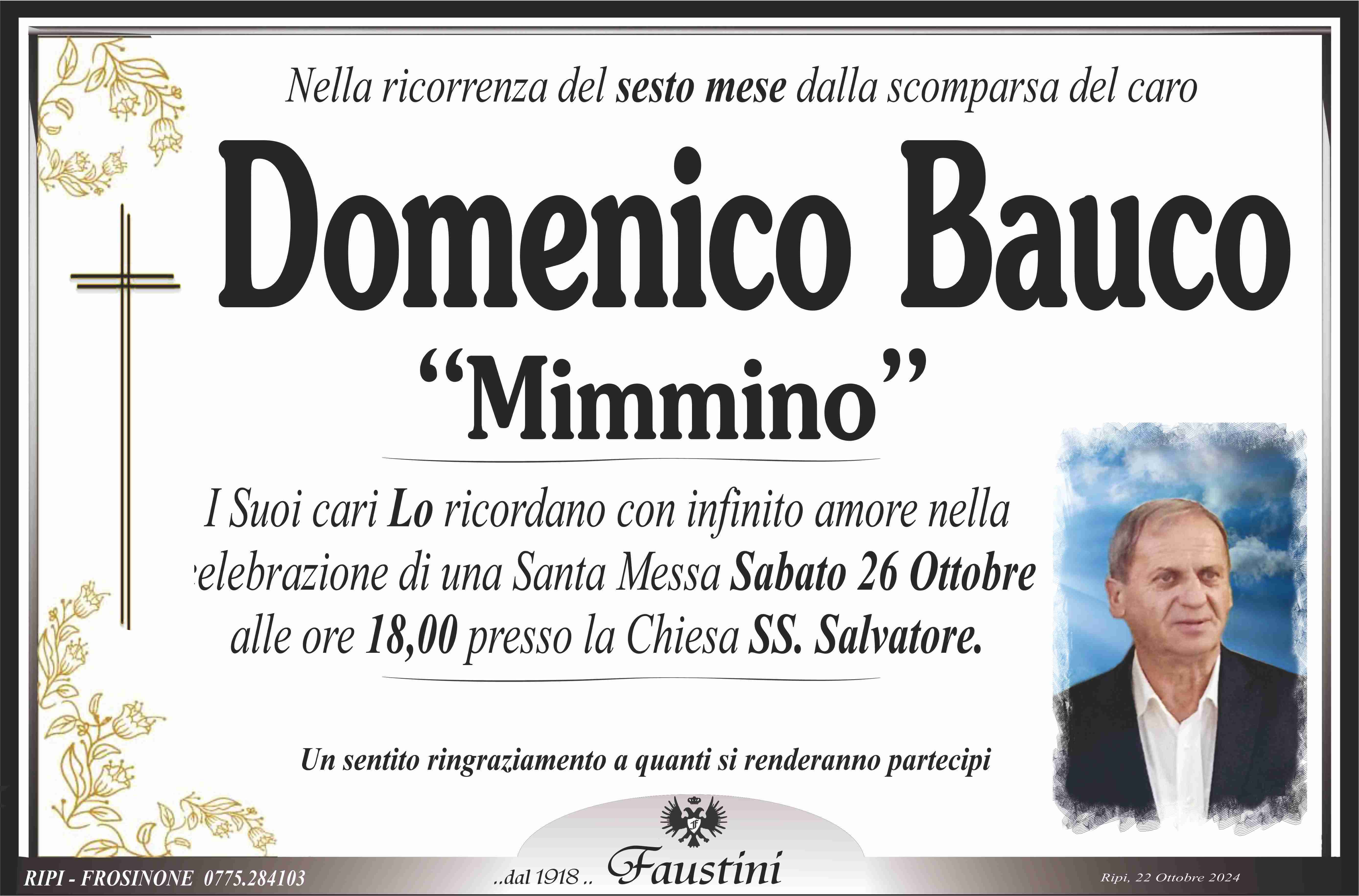 Domenico Bauco