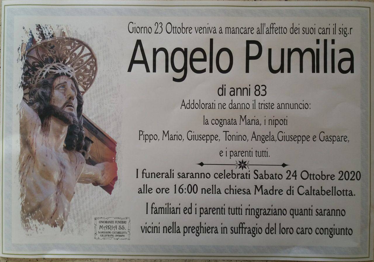 Angelo Pumilia