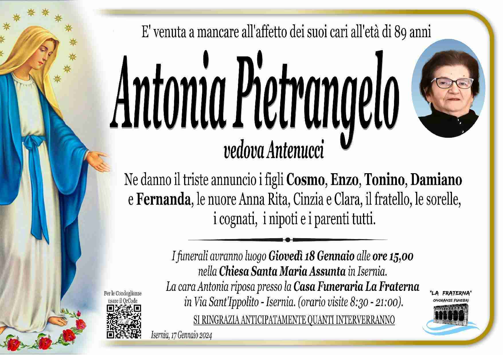 Antonia Pietrangelo