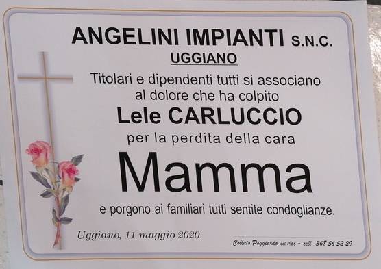 Angelini Impianti S.N.C.