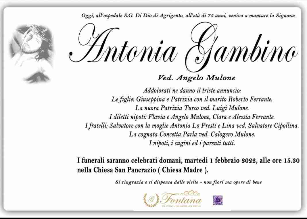 Antonia Gambino