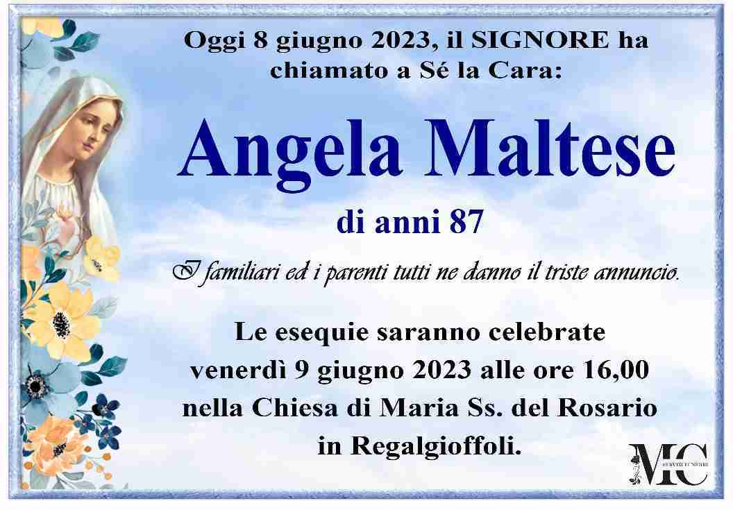 Angela Maltese