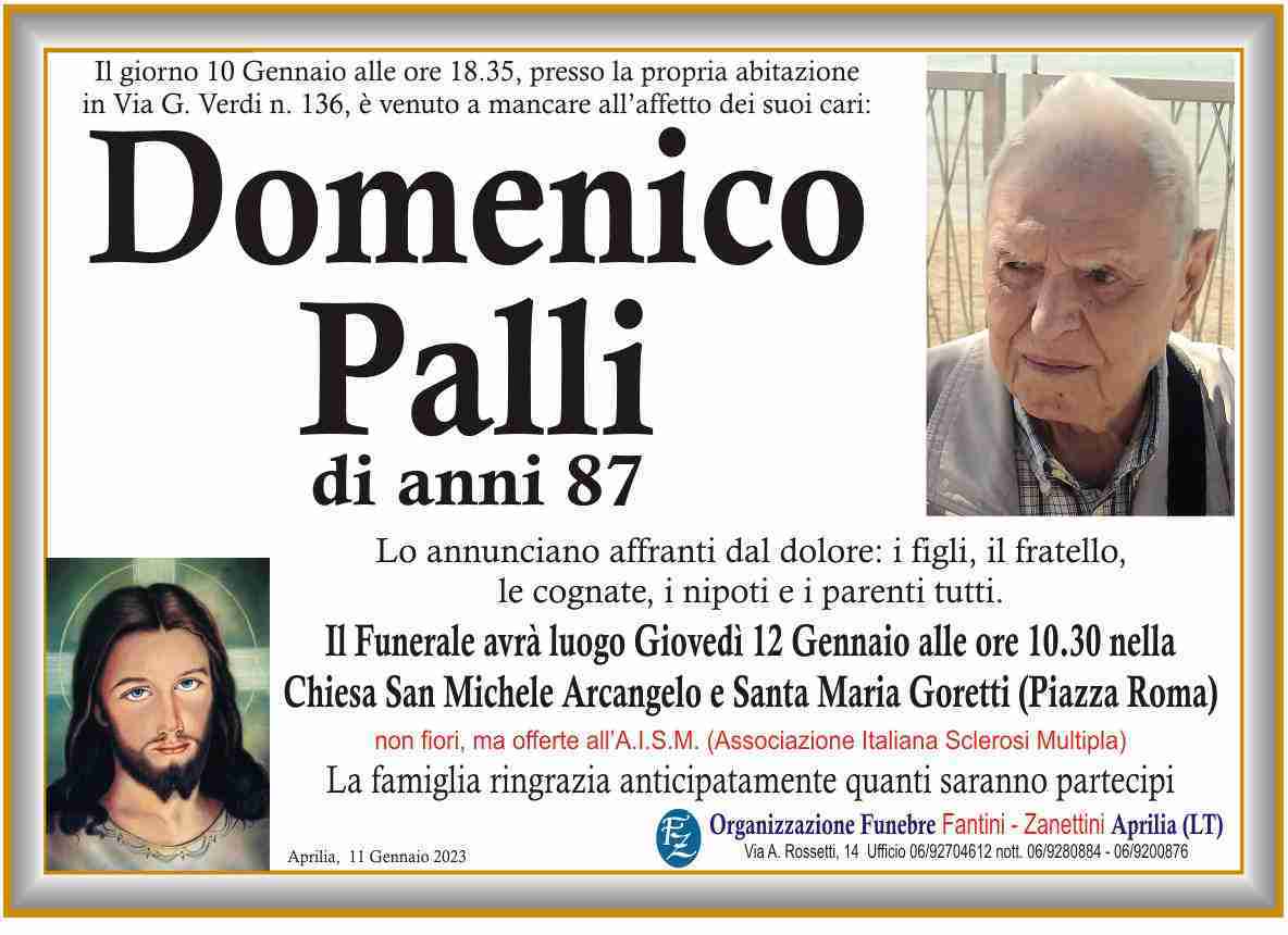 Domenico Palli
