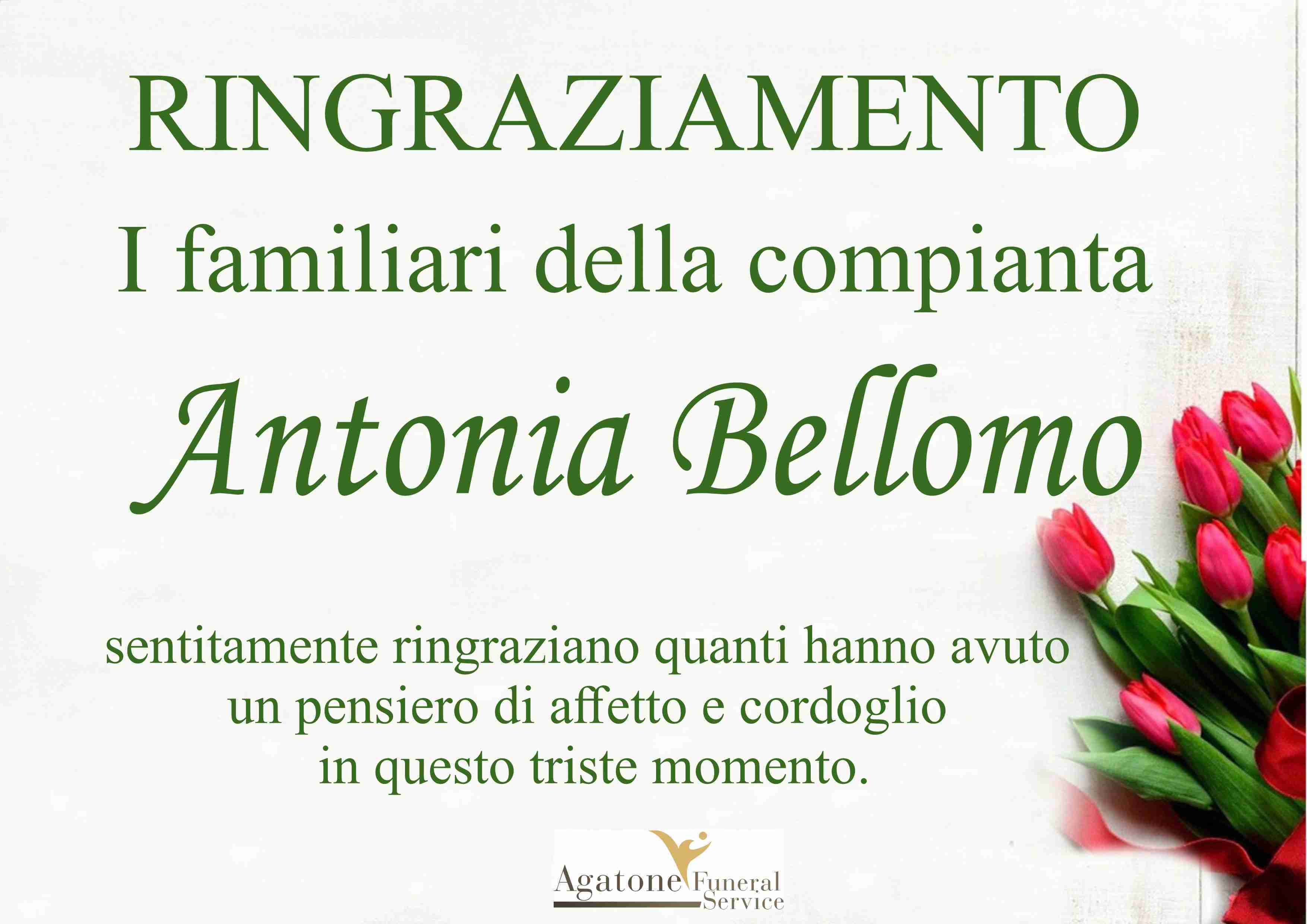 Antonia Bellomo