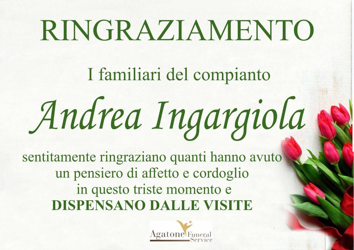 Andrea Ingargiola