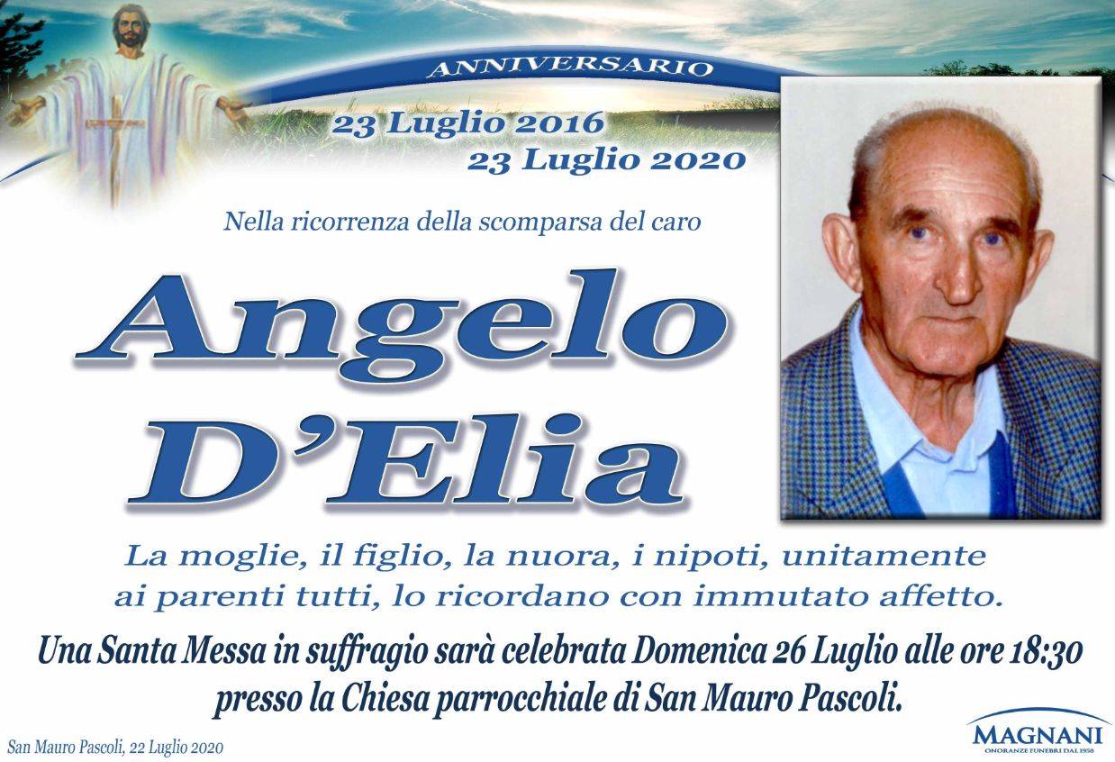 Angelo D'Elia