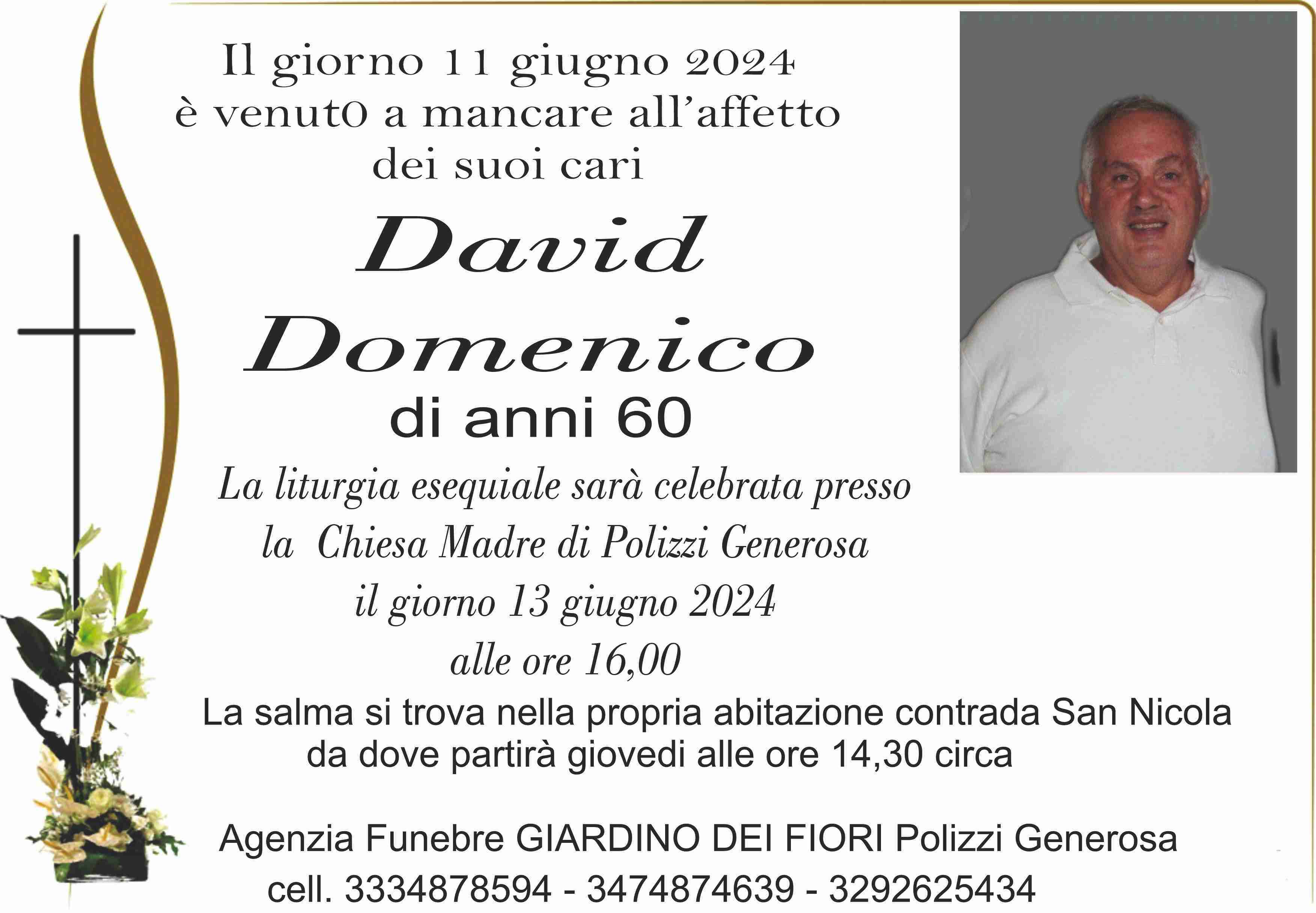 Domenico David