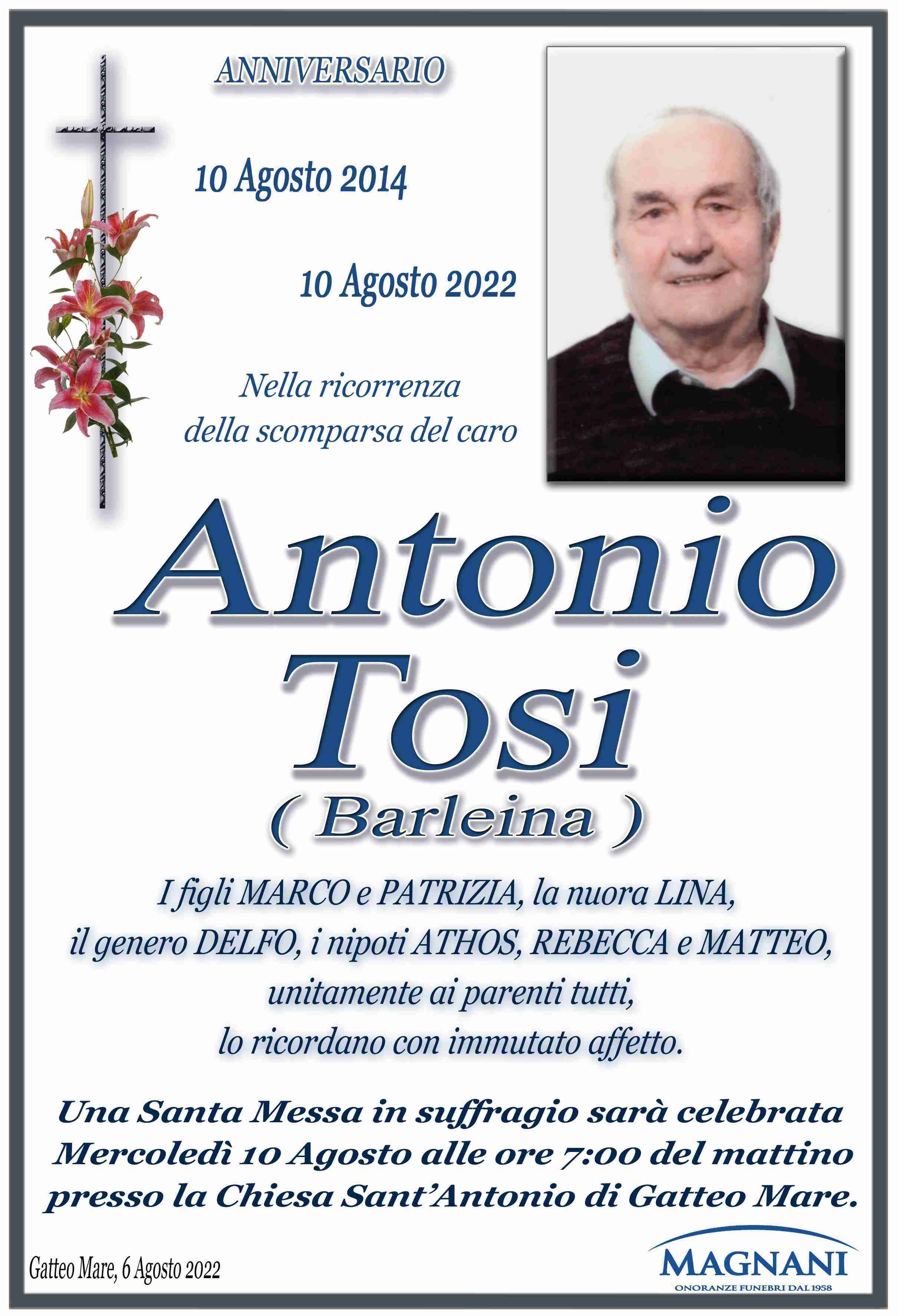 Antonio Tosi