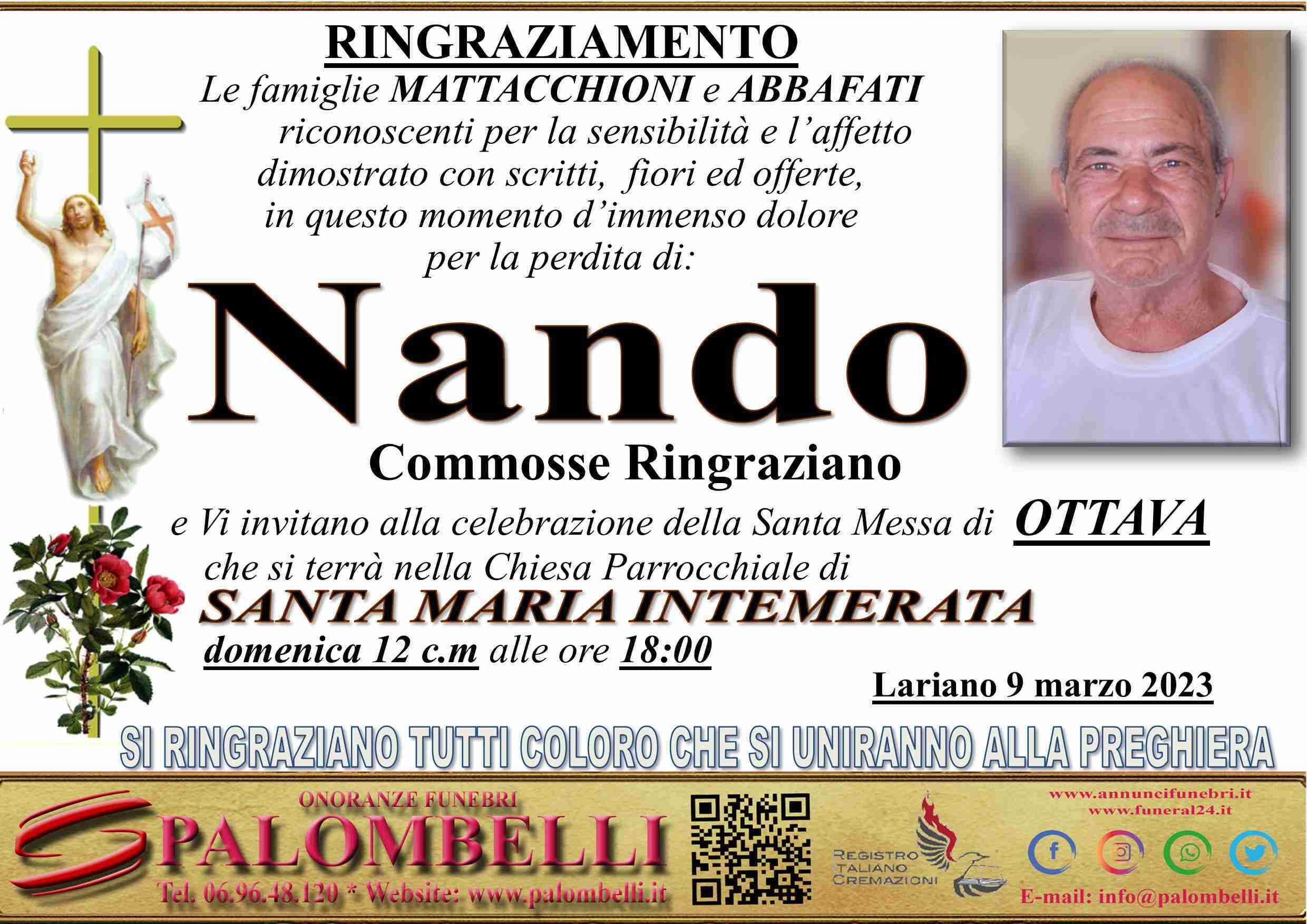 Nando Mattacchioni