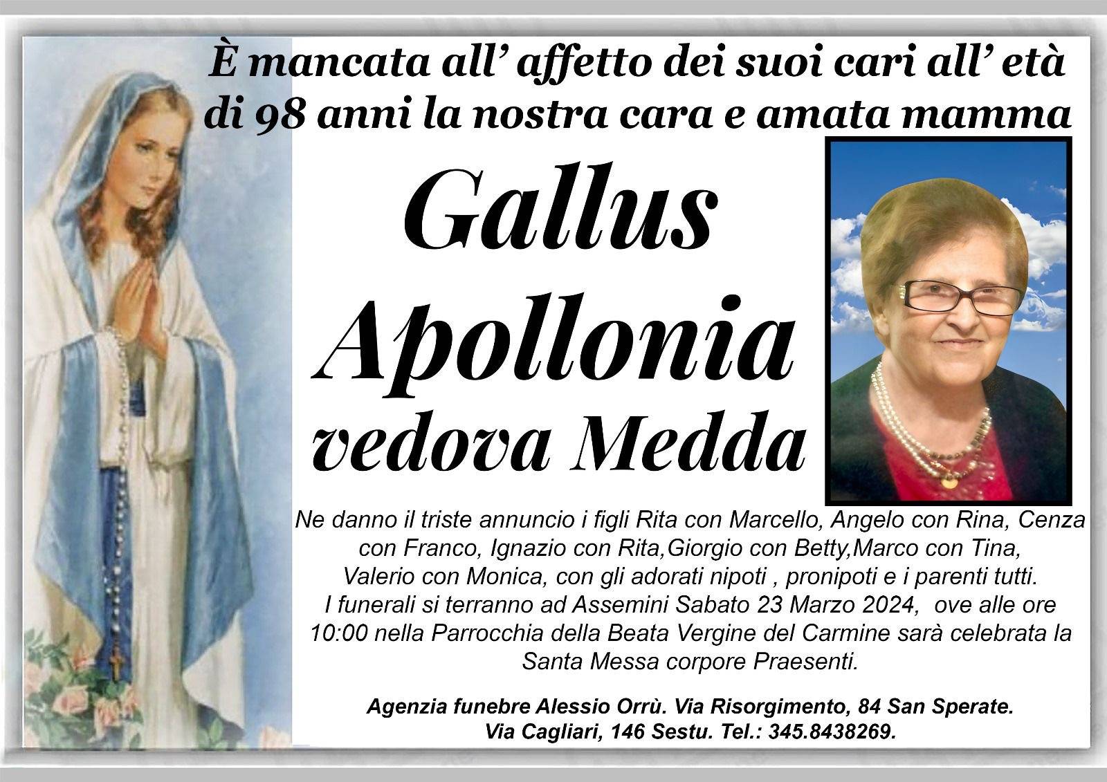 Apollonia Gallus