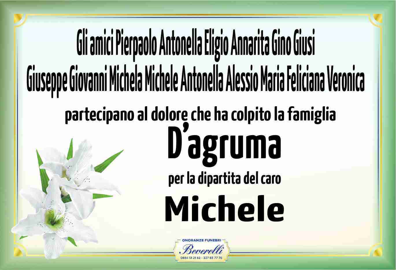 Michele D'Agruma