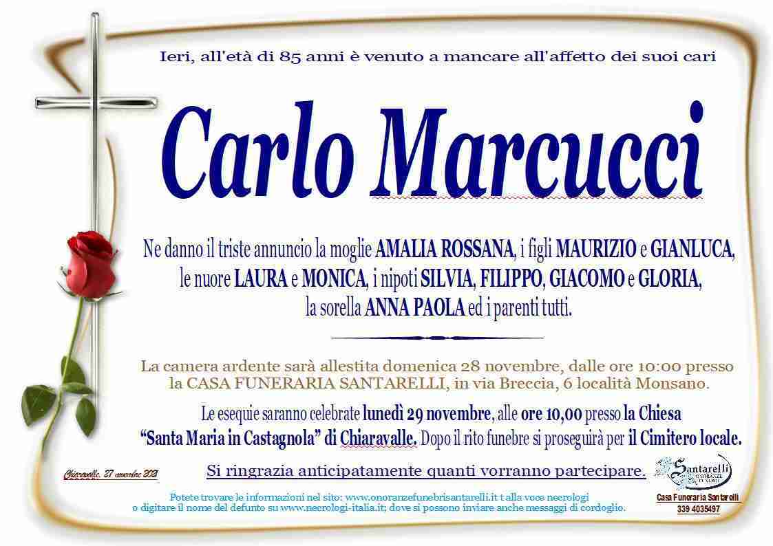 Carlo Marcucci