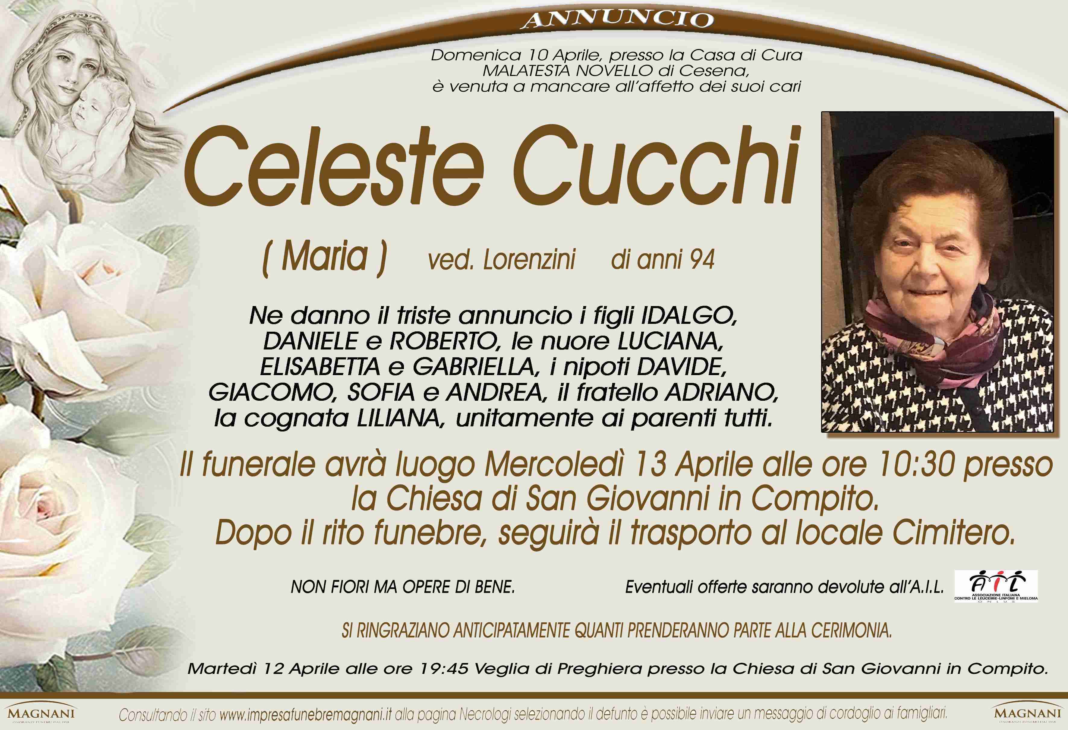 Celeste Cucchi