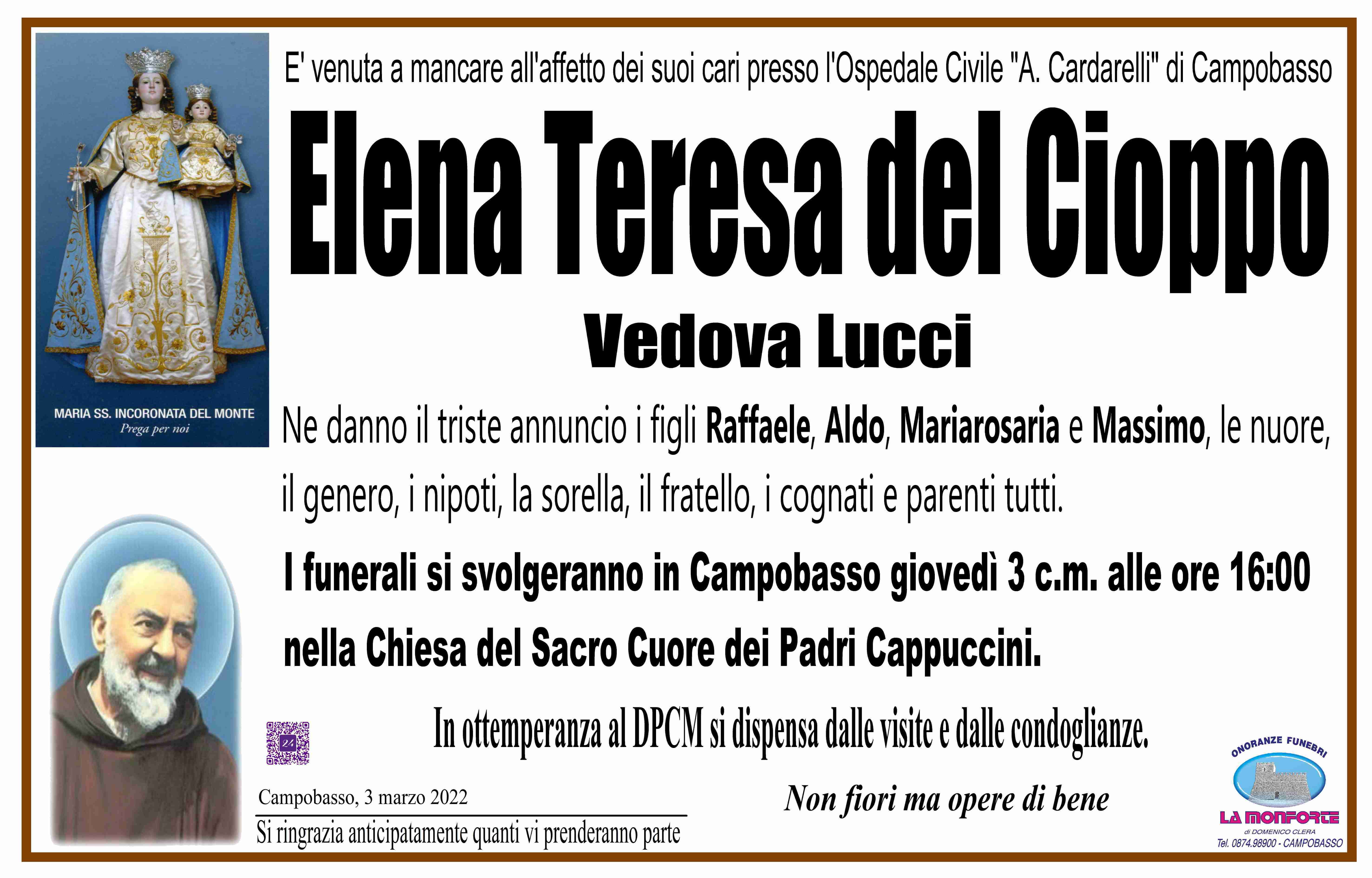 Elena Teresa del Cioppo