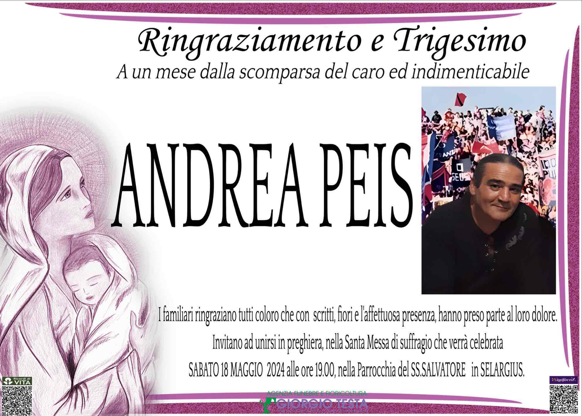 Andrea Peis