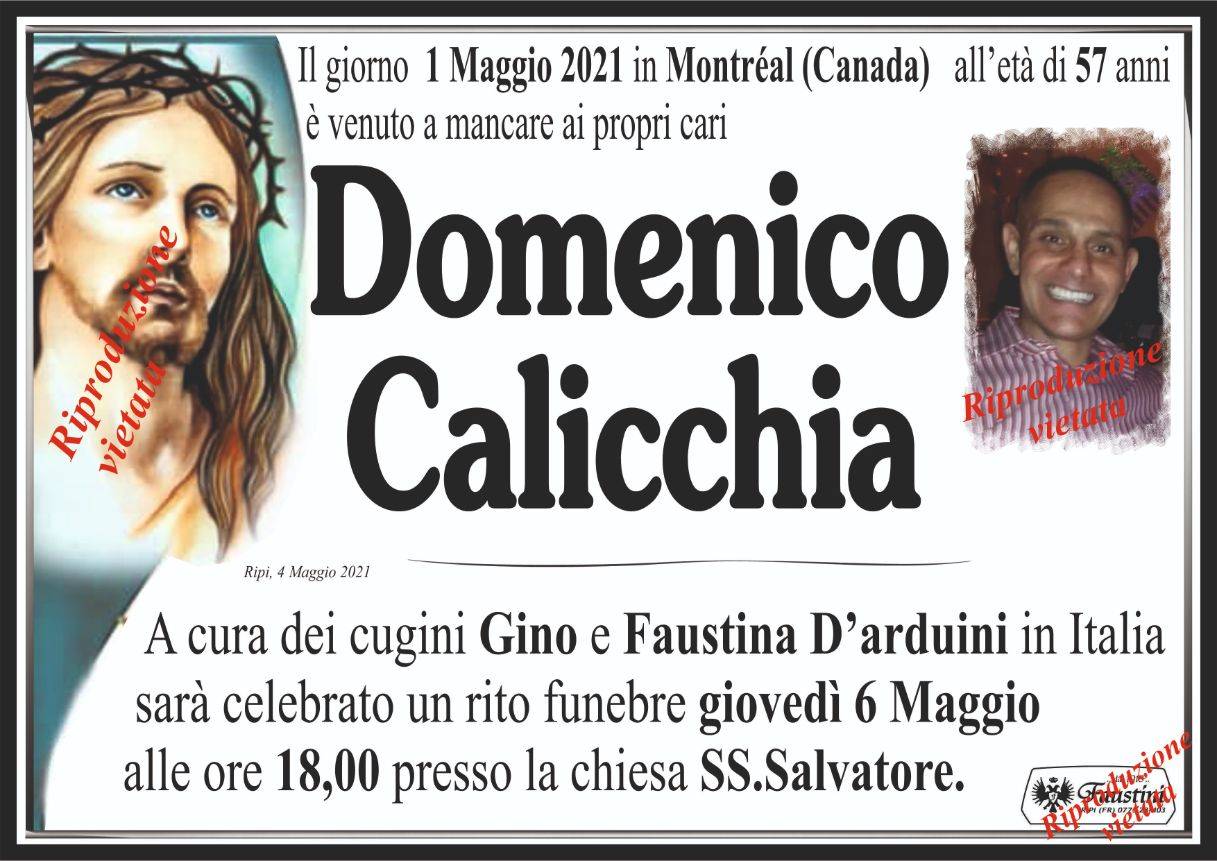 Domenico Calicchia