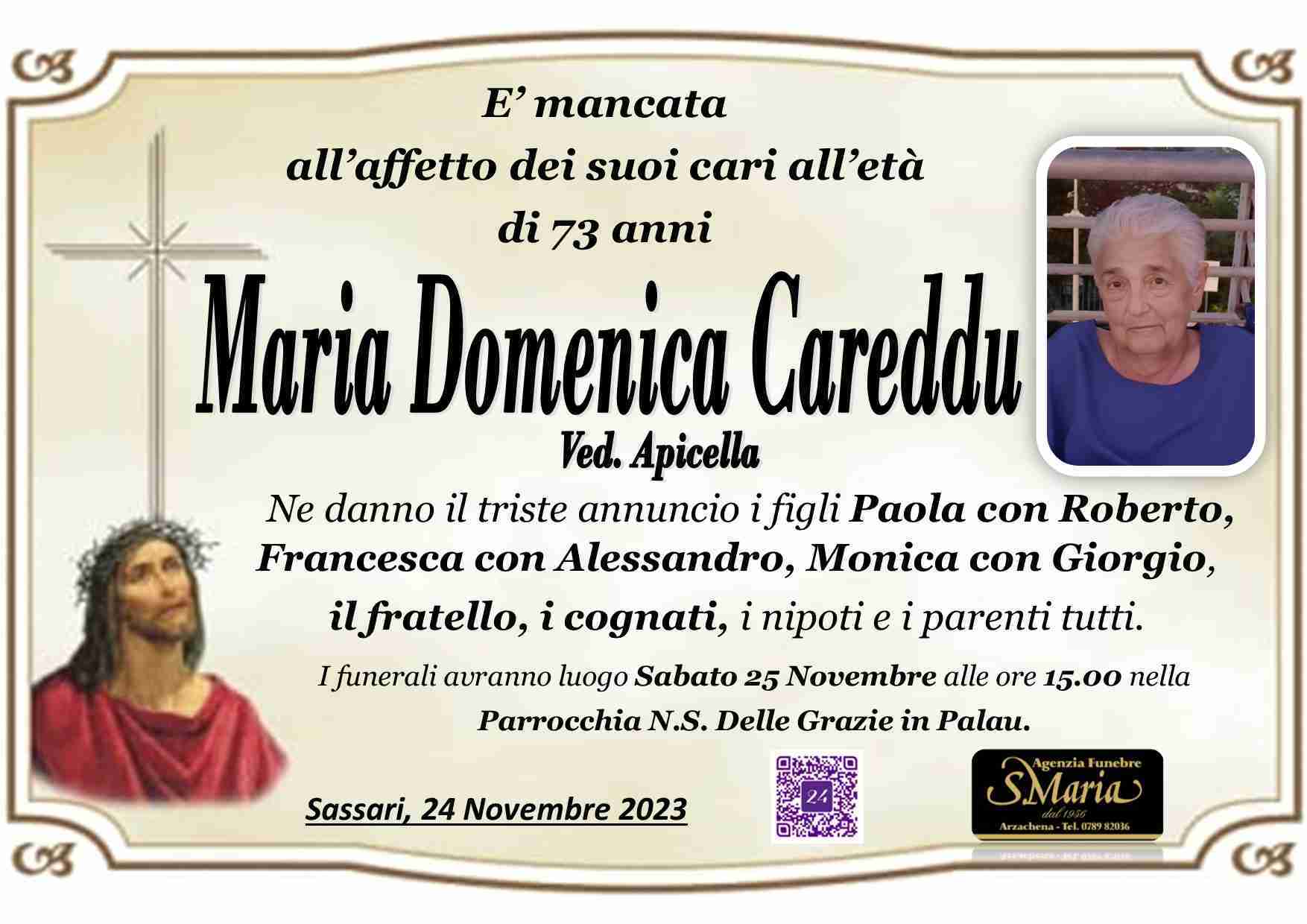 Maria Domenica Careddu