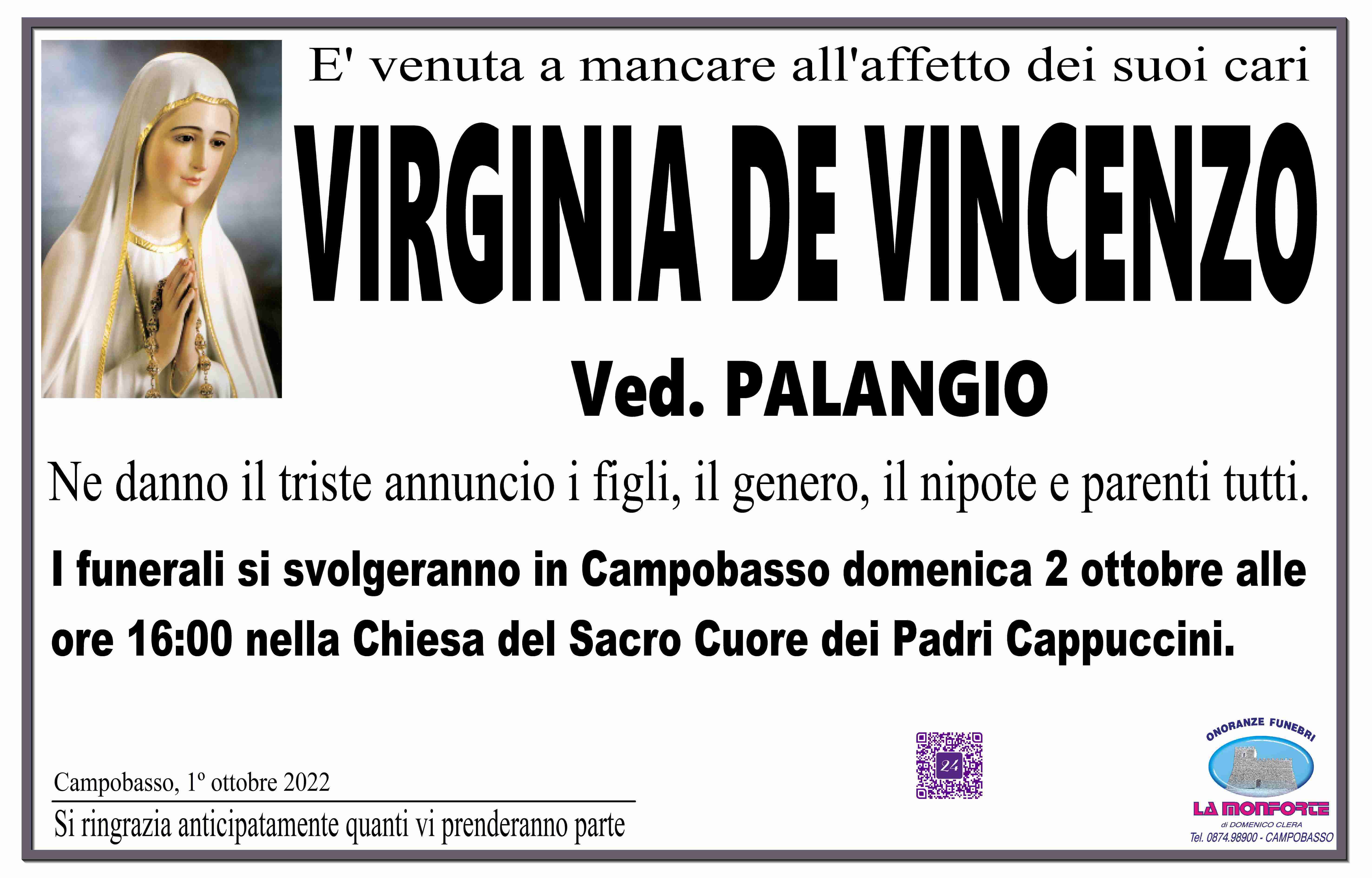 Virginia De Vincenzo