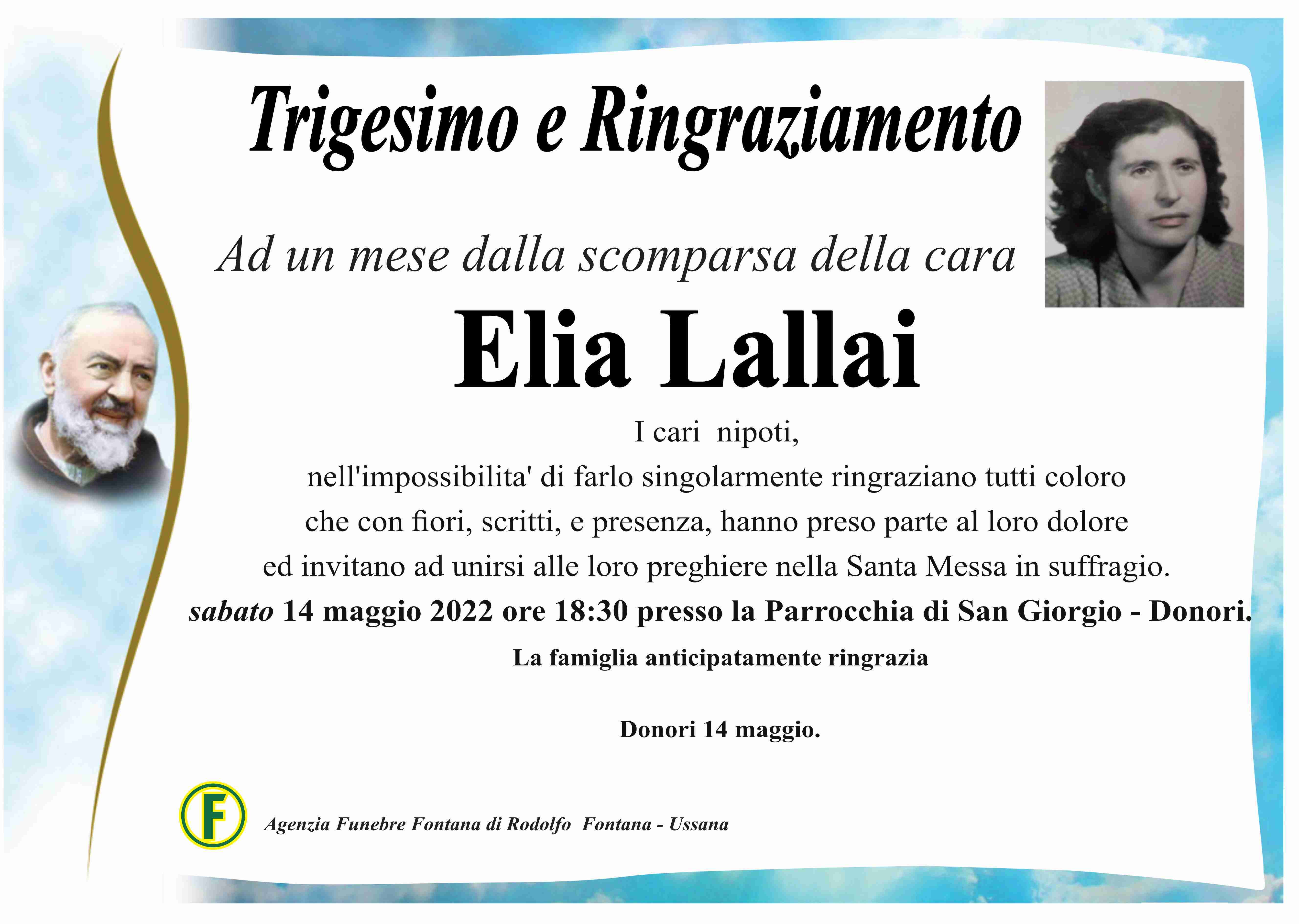 Elia Lallai