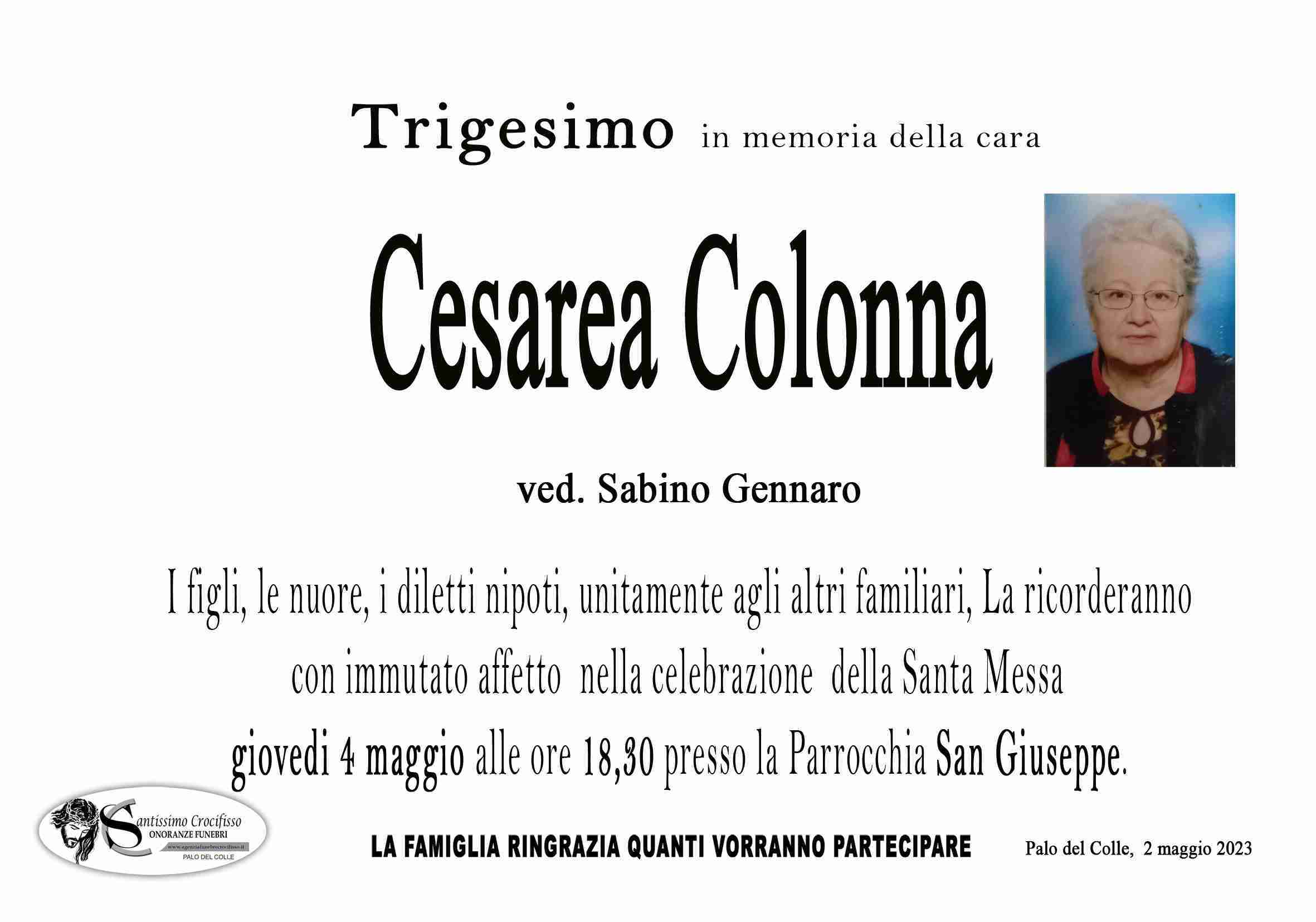 Cesarea Colonna
