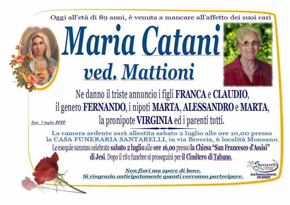 Maria Catani