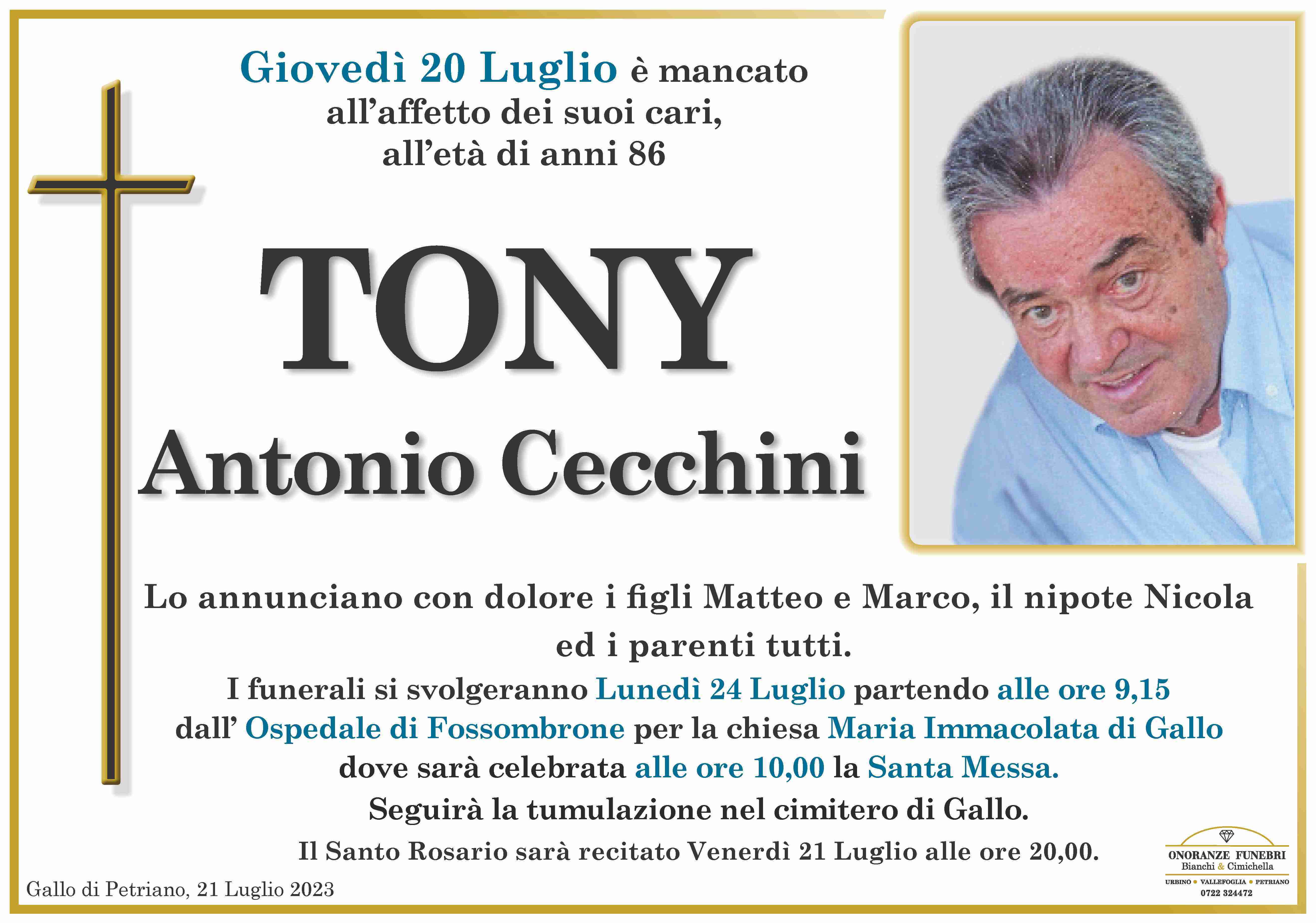 Antonio Cecchini 'TONY'