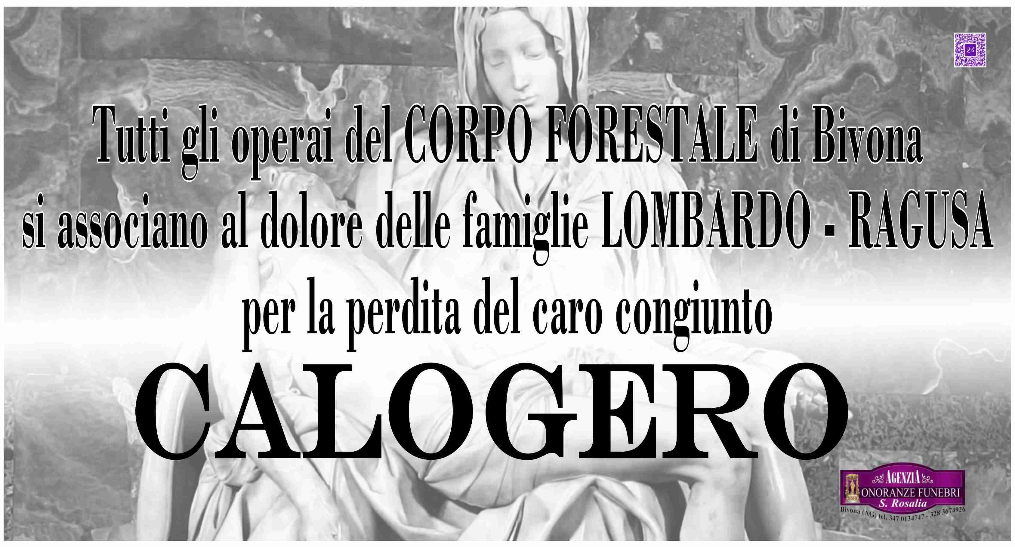 Calogero Lombardo