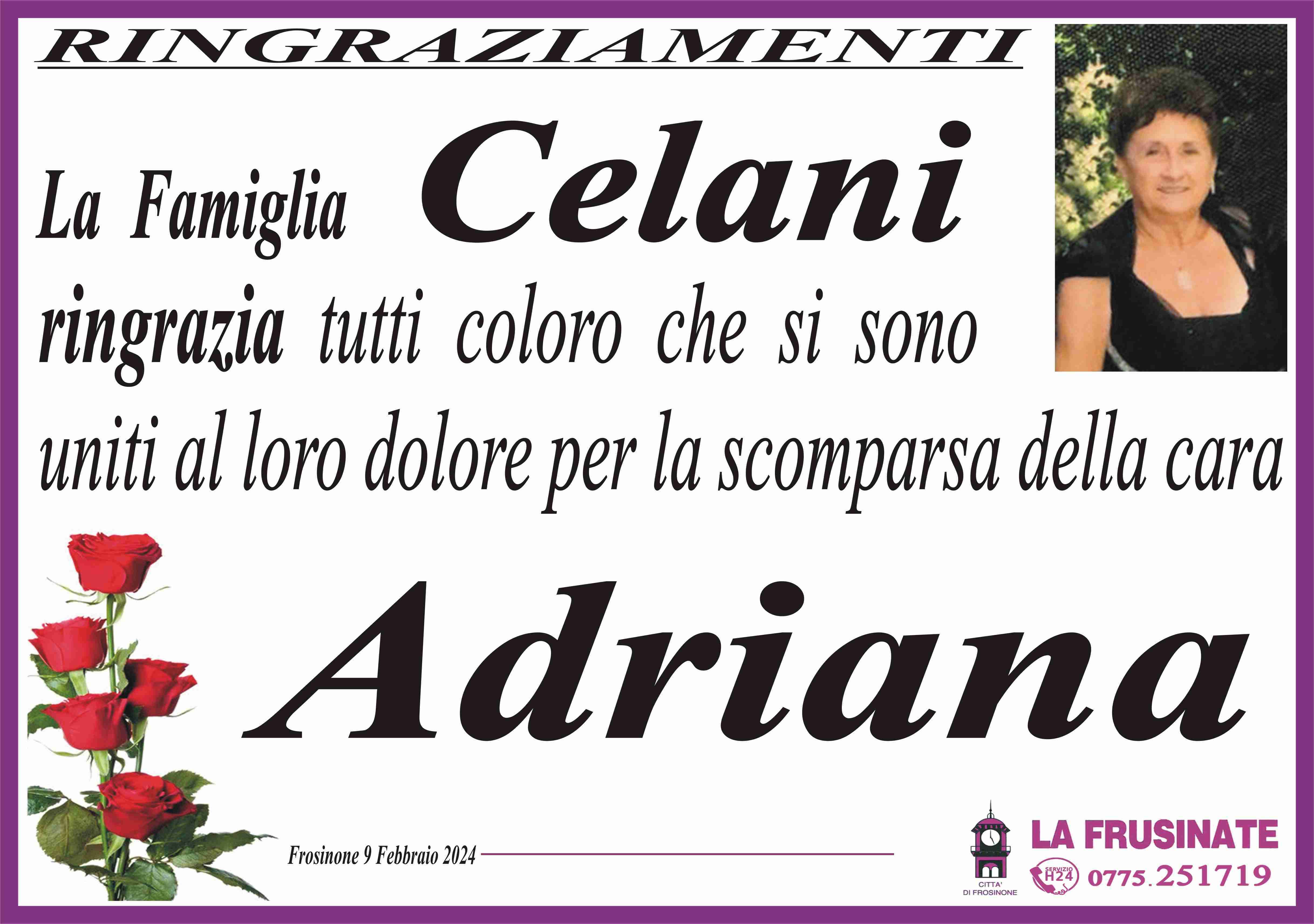 Adriana Celani