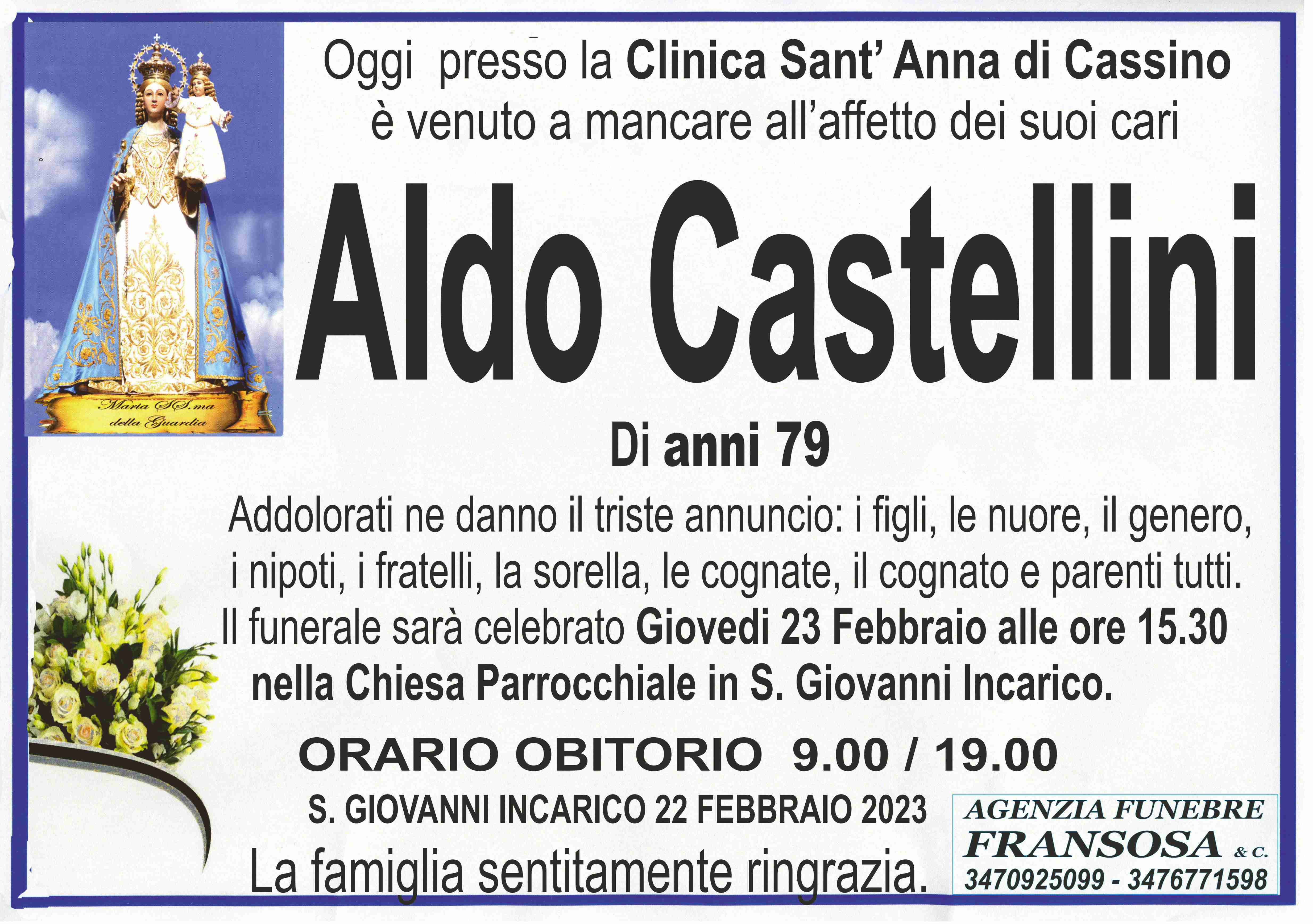 Aldo Castellini