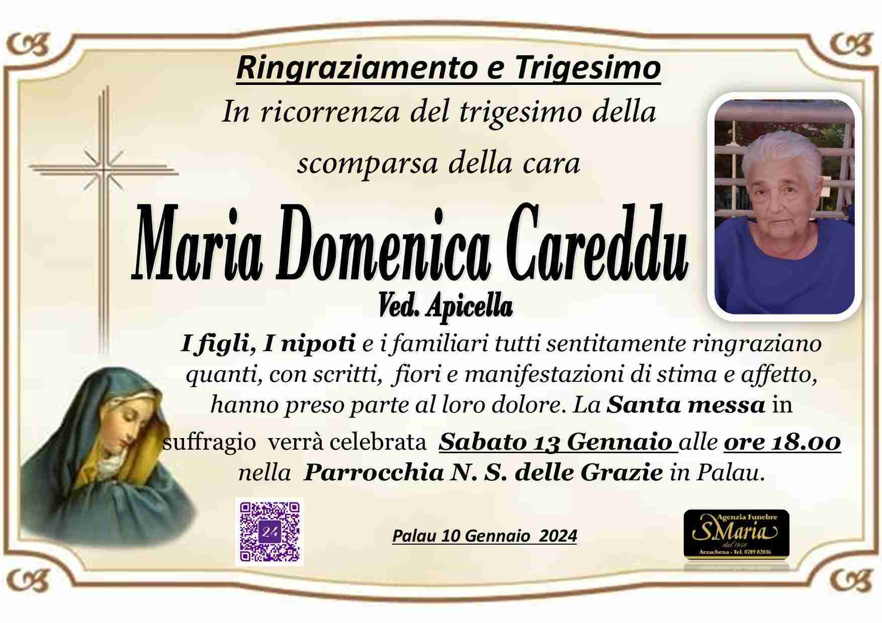 Maria Domenica Careddu