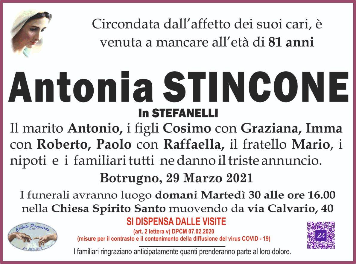 Antonia Stincone