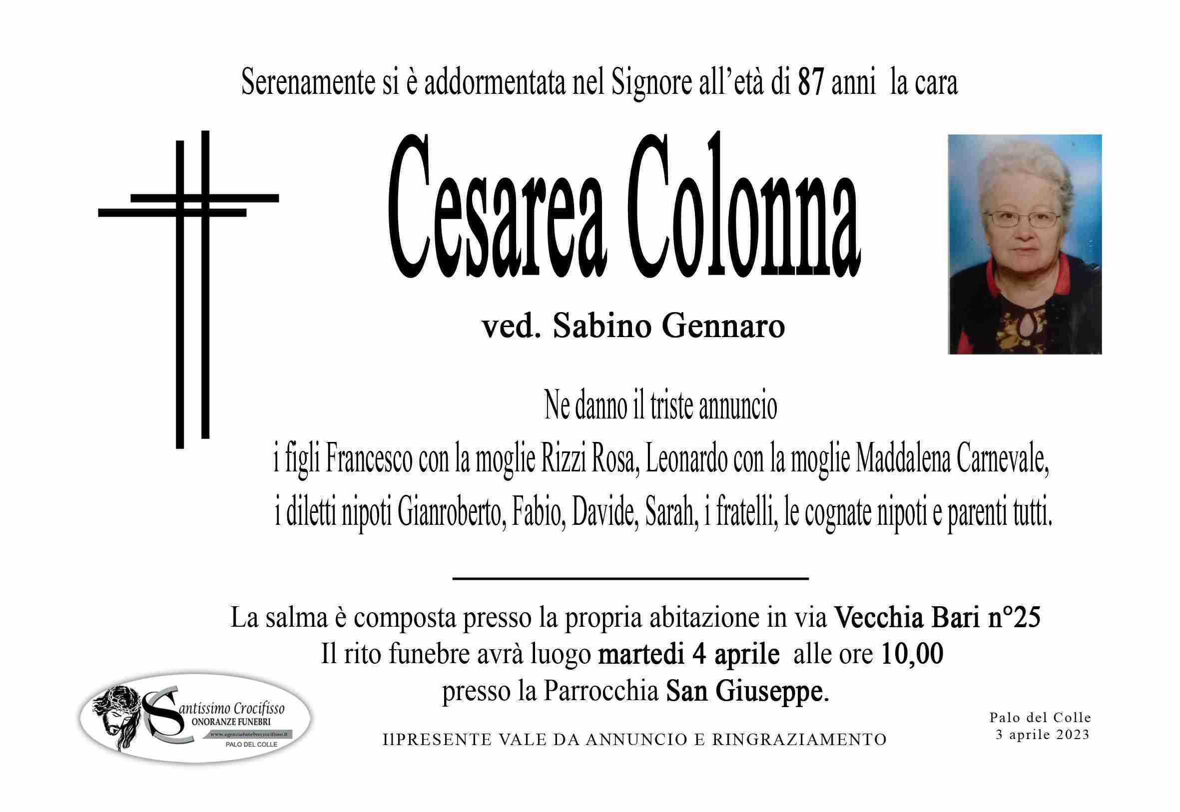 Cesarea Colonna