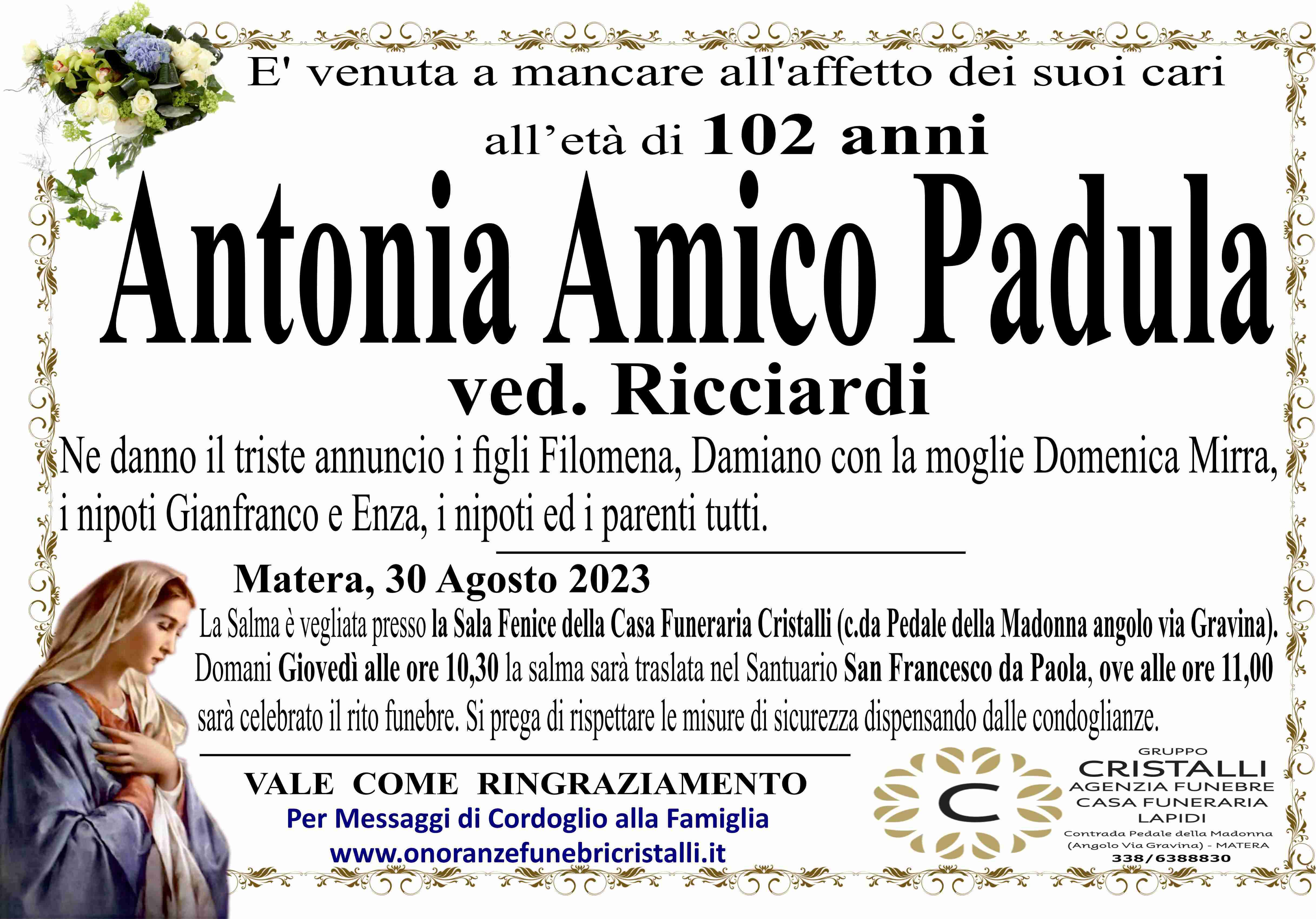 Antonia Amico Padula