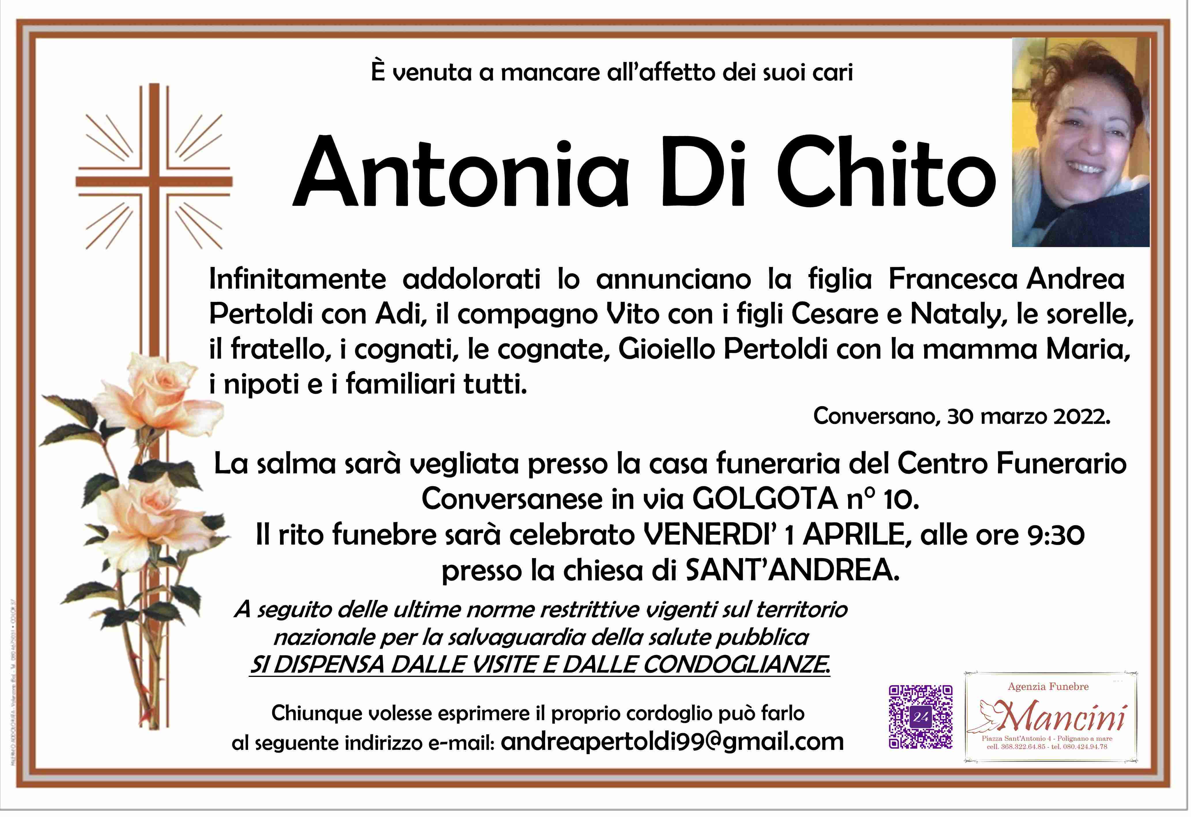 Antonia Di Chito