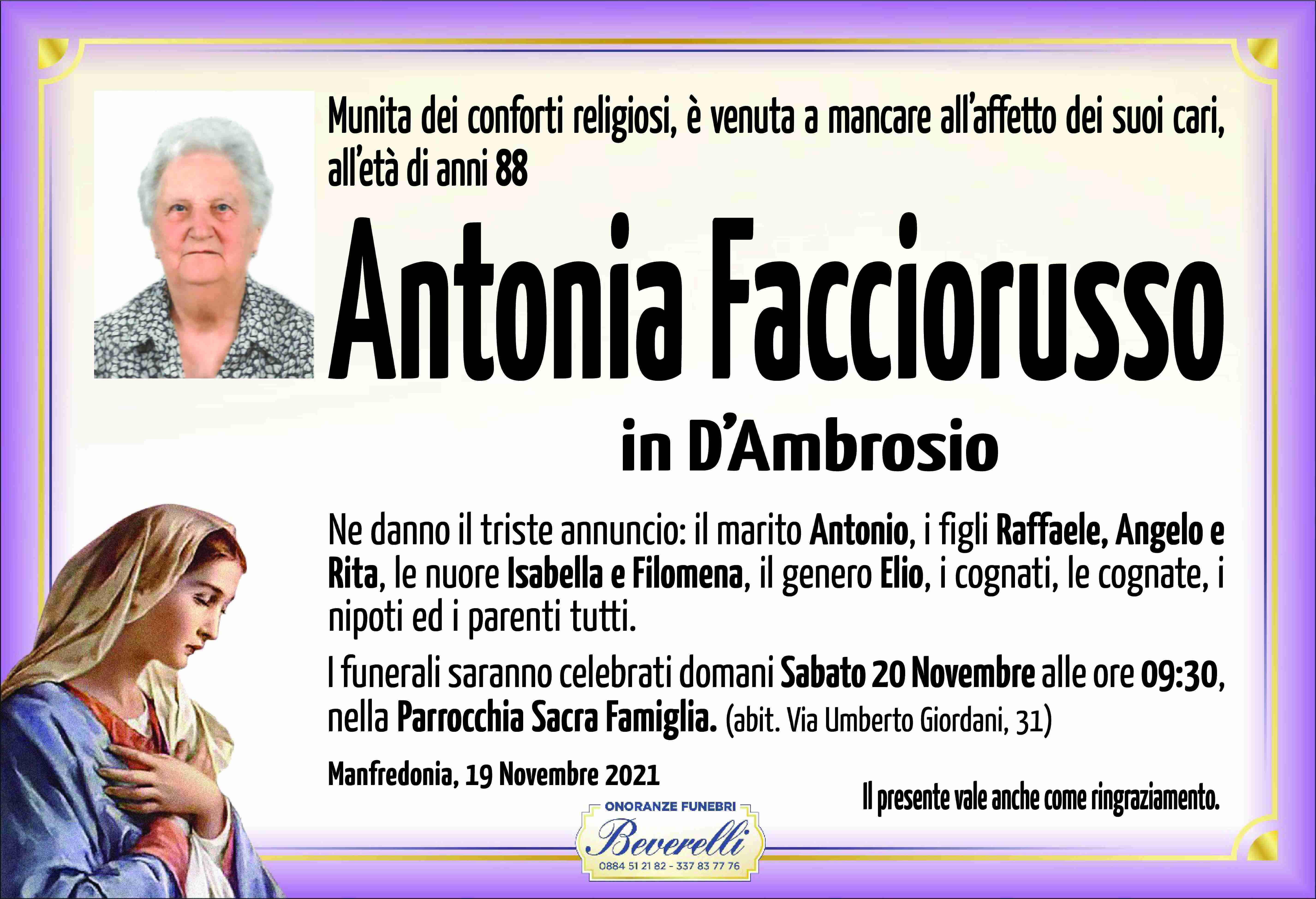 Antonia Facciorusso