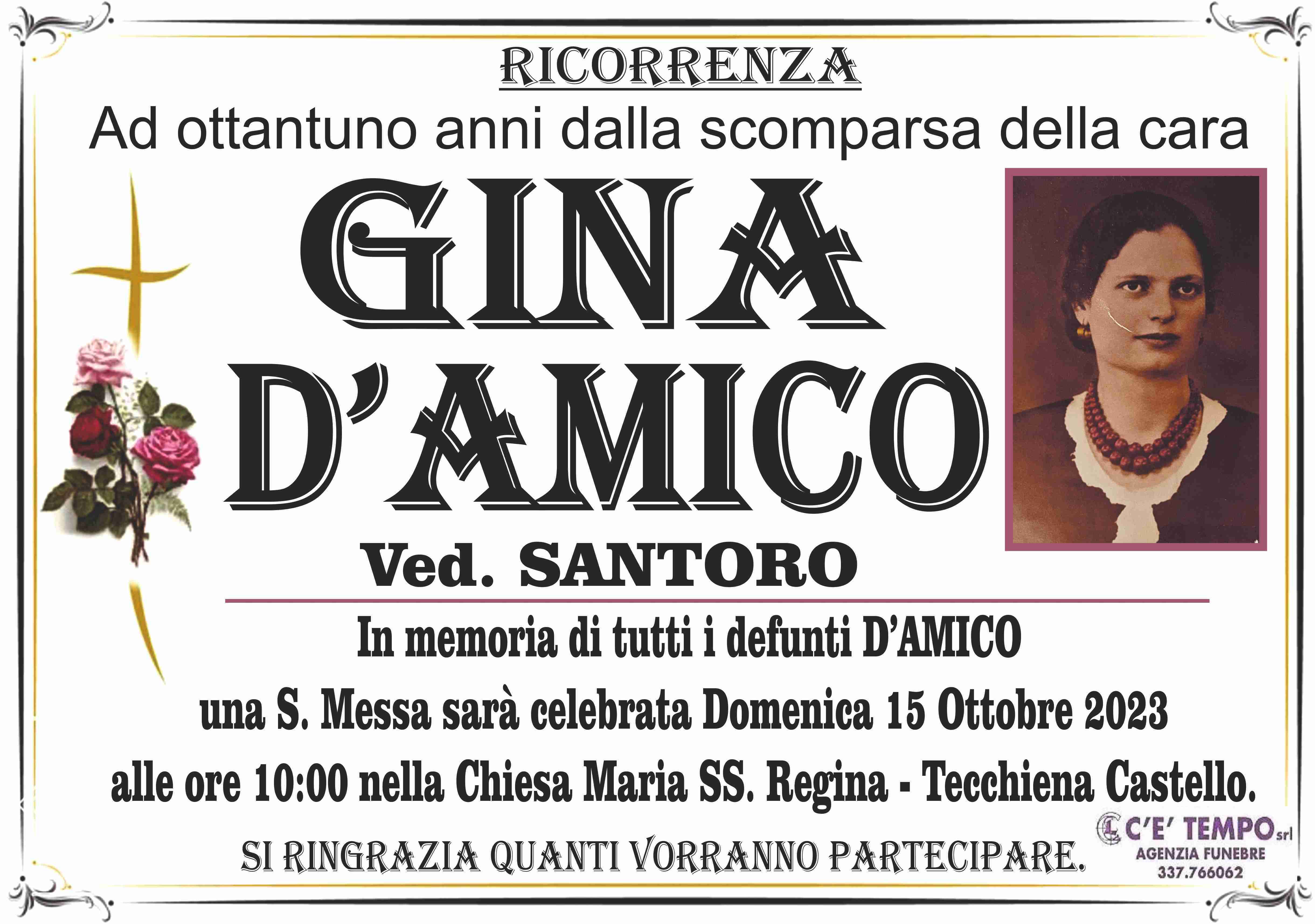 Gina D'Amico