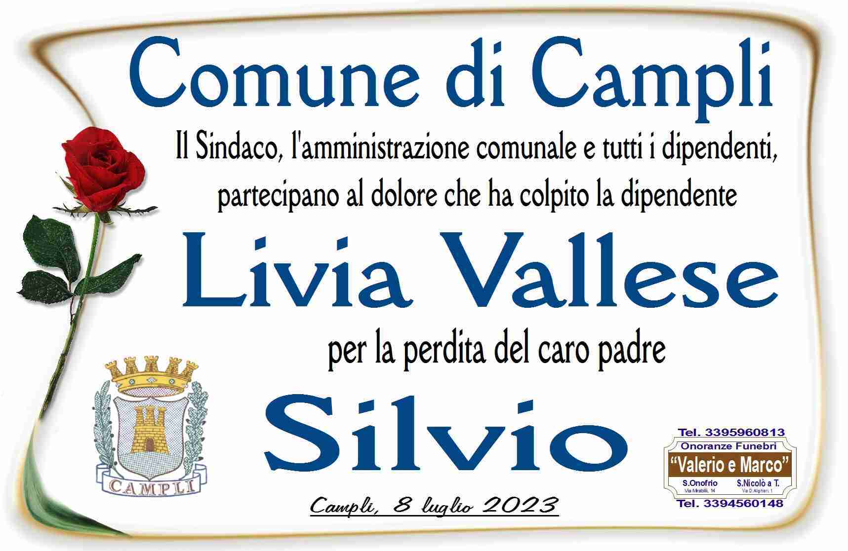 Silvio Vallese