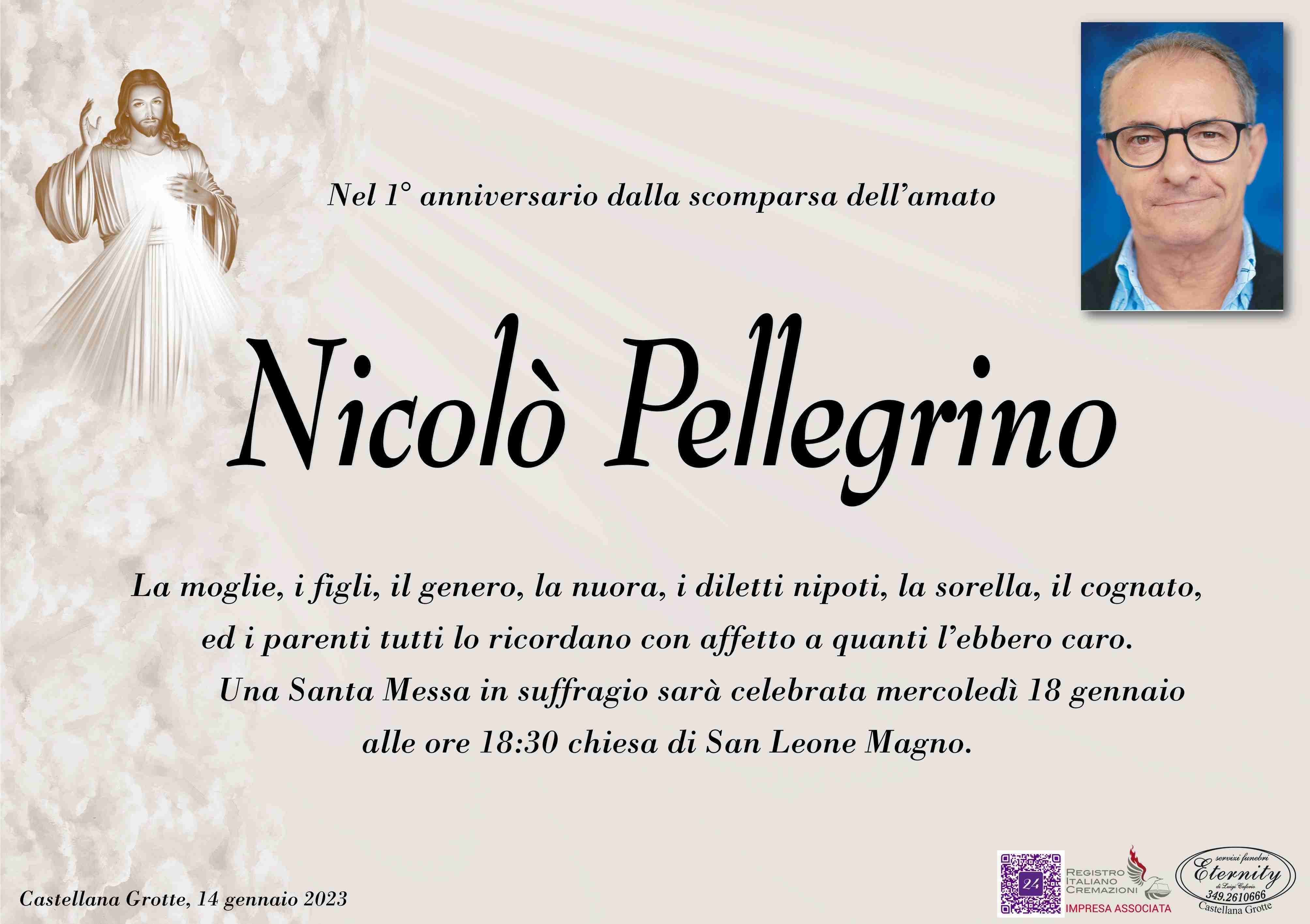 Nicolò Pellegrino