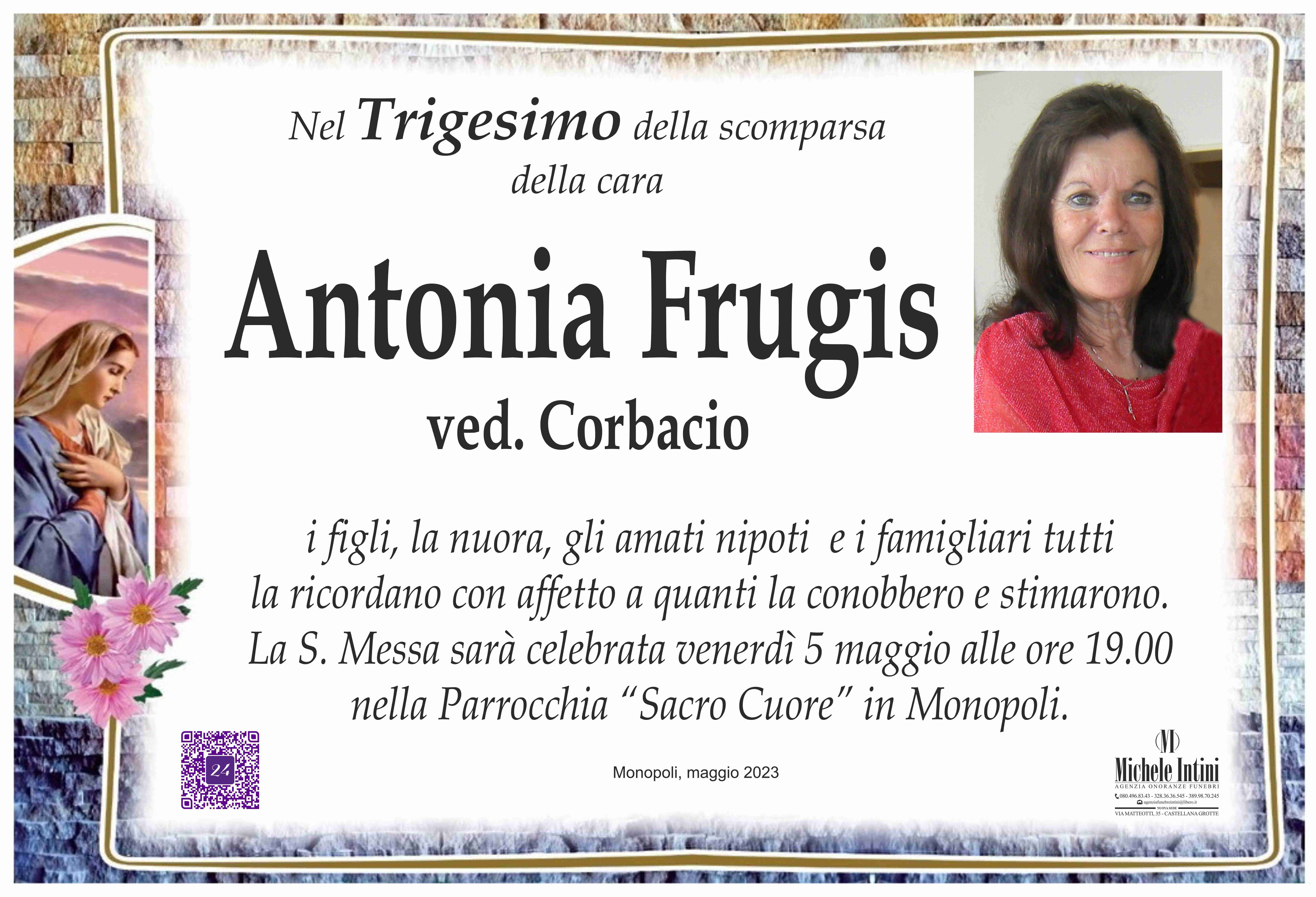 Antonia Frugis