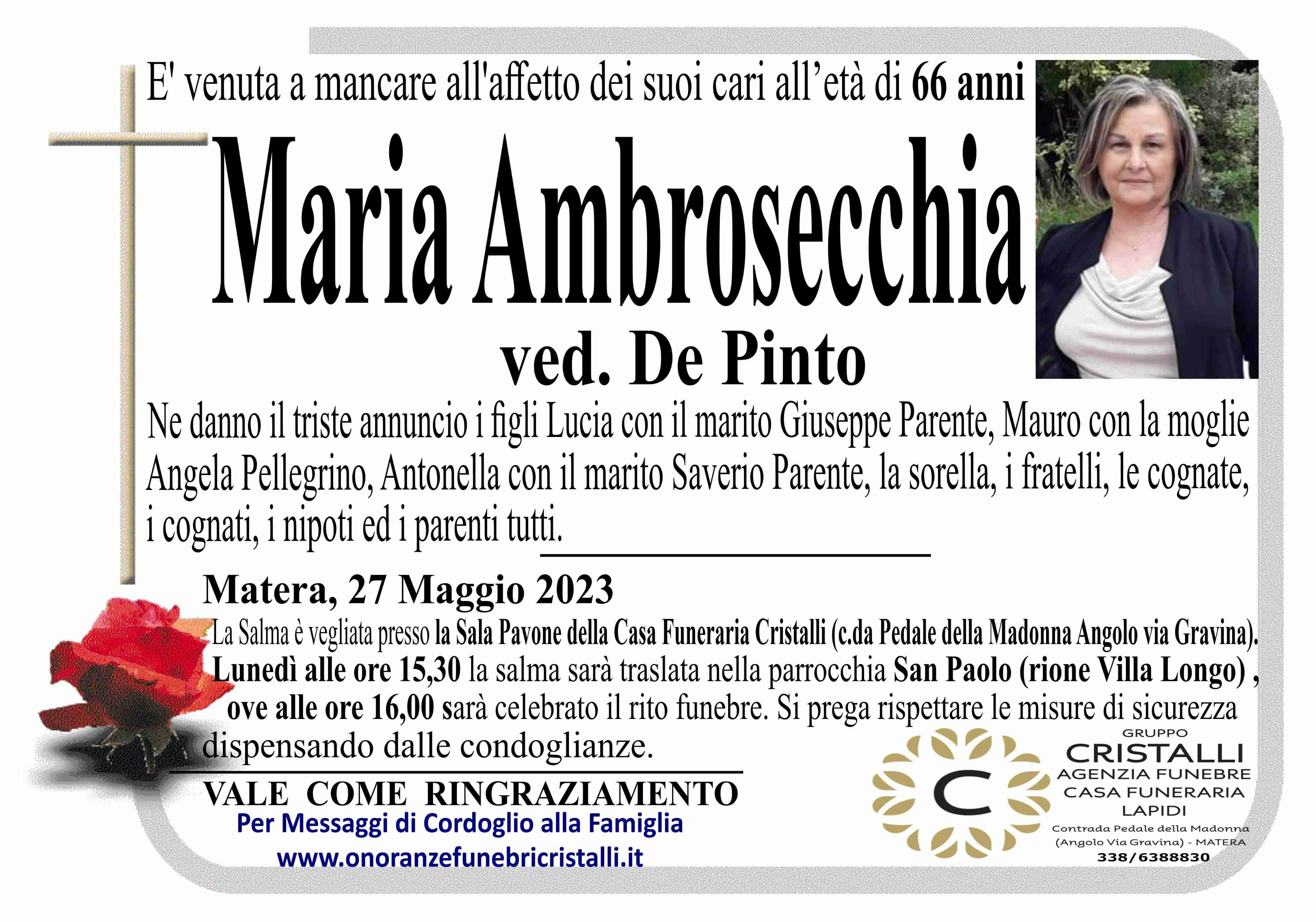 Maria Ambrosecchia