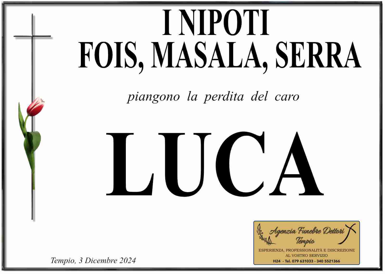 Luca Fois