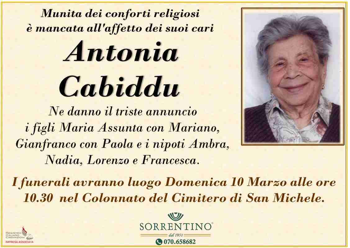 Antonia Cabiddu