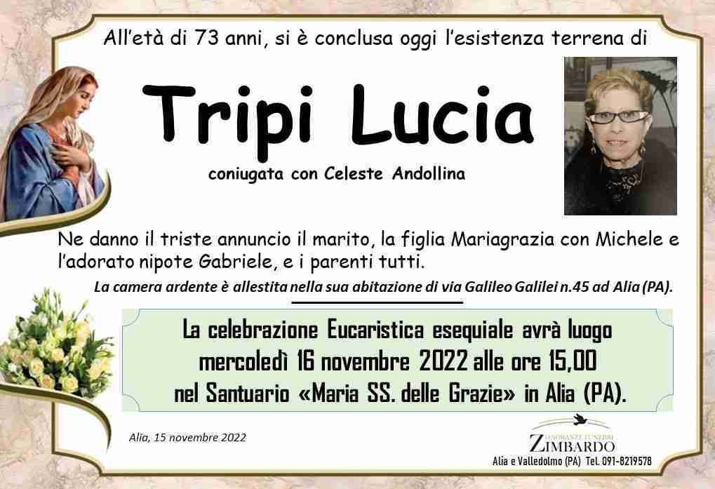 Lucia Tripi