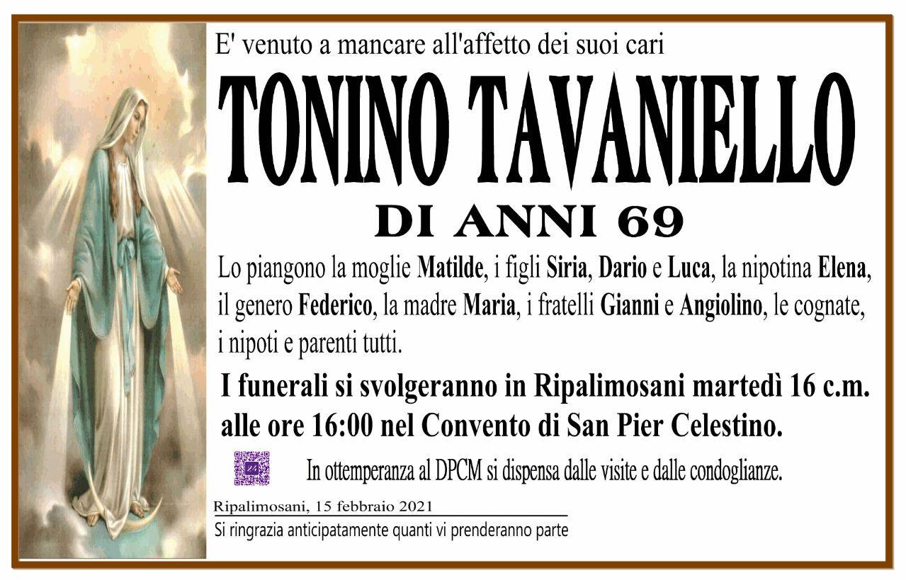 Tonino Tavaniello