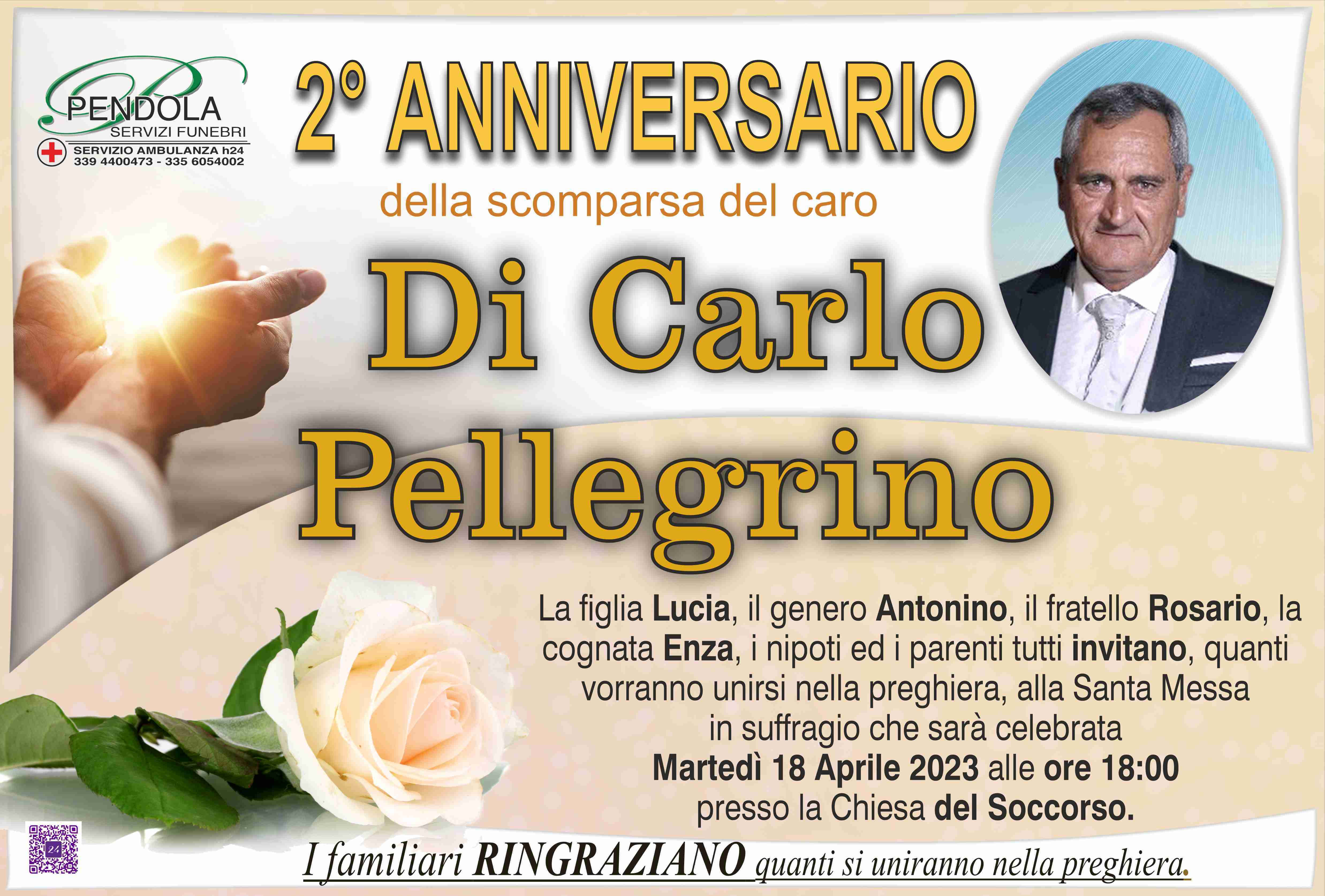 Pellegrino Di Carlo