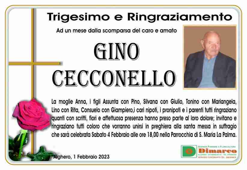 Gino Cecconello