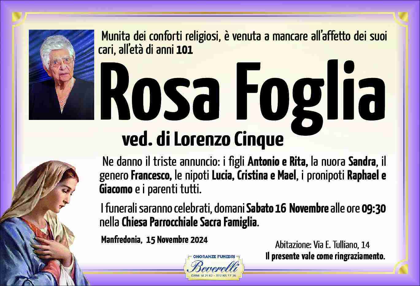 Rosa Foglia