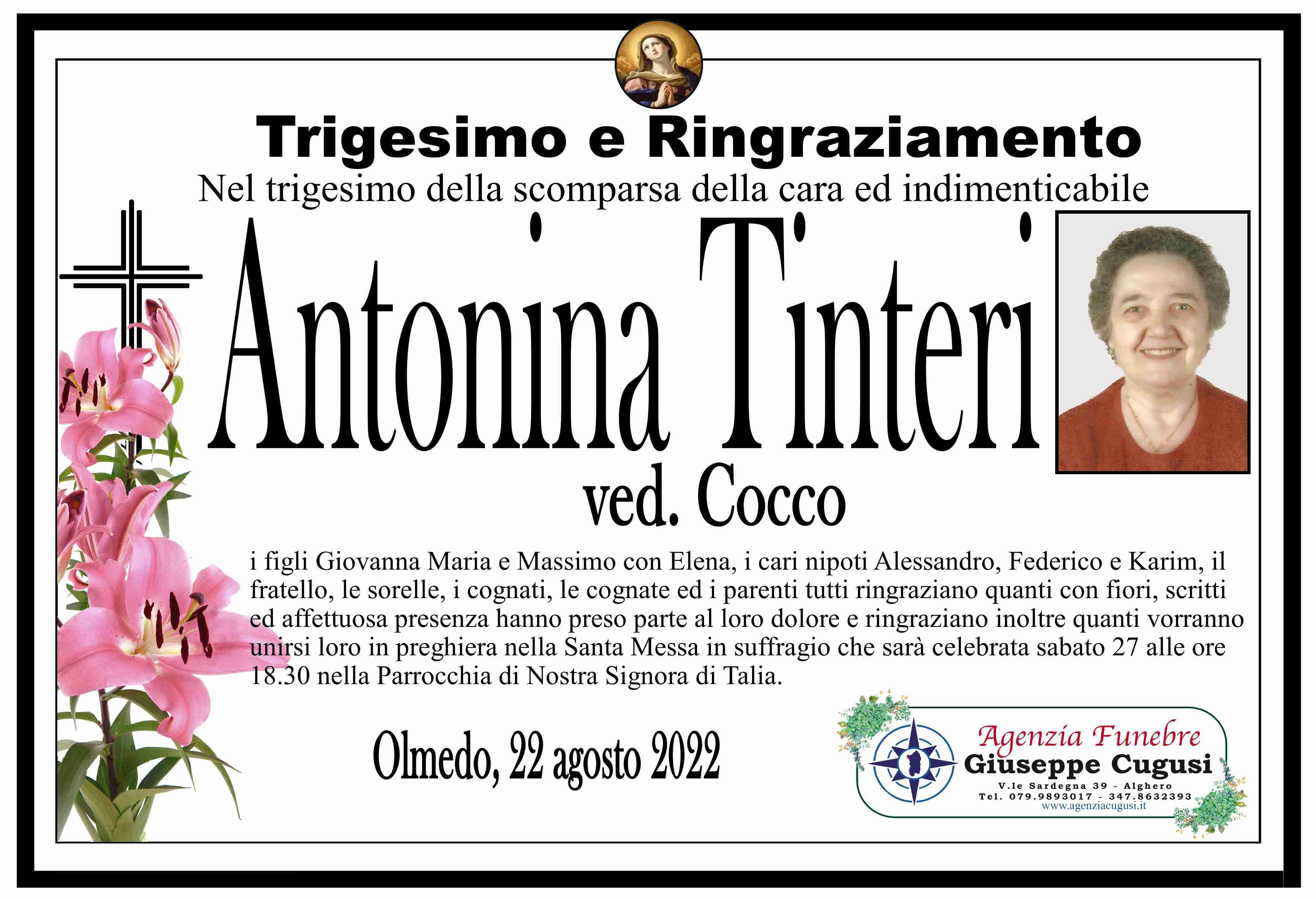 Antonina Tinteri